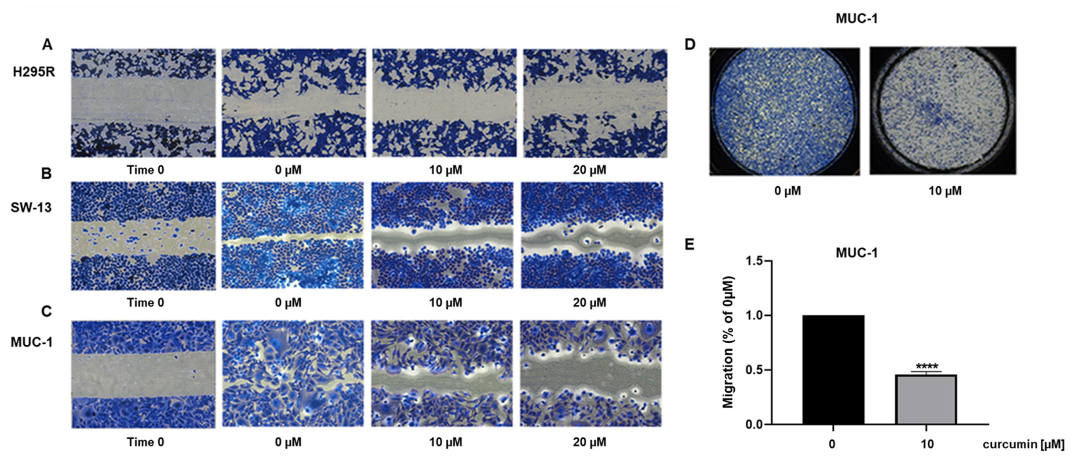 Cancers 15 01050 g003