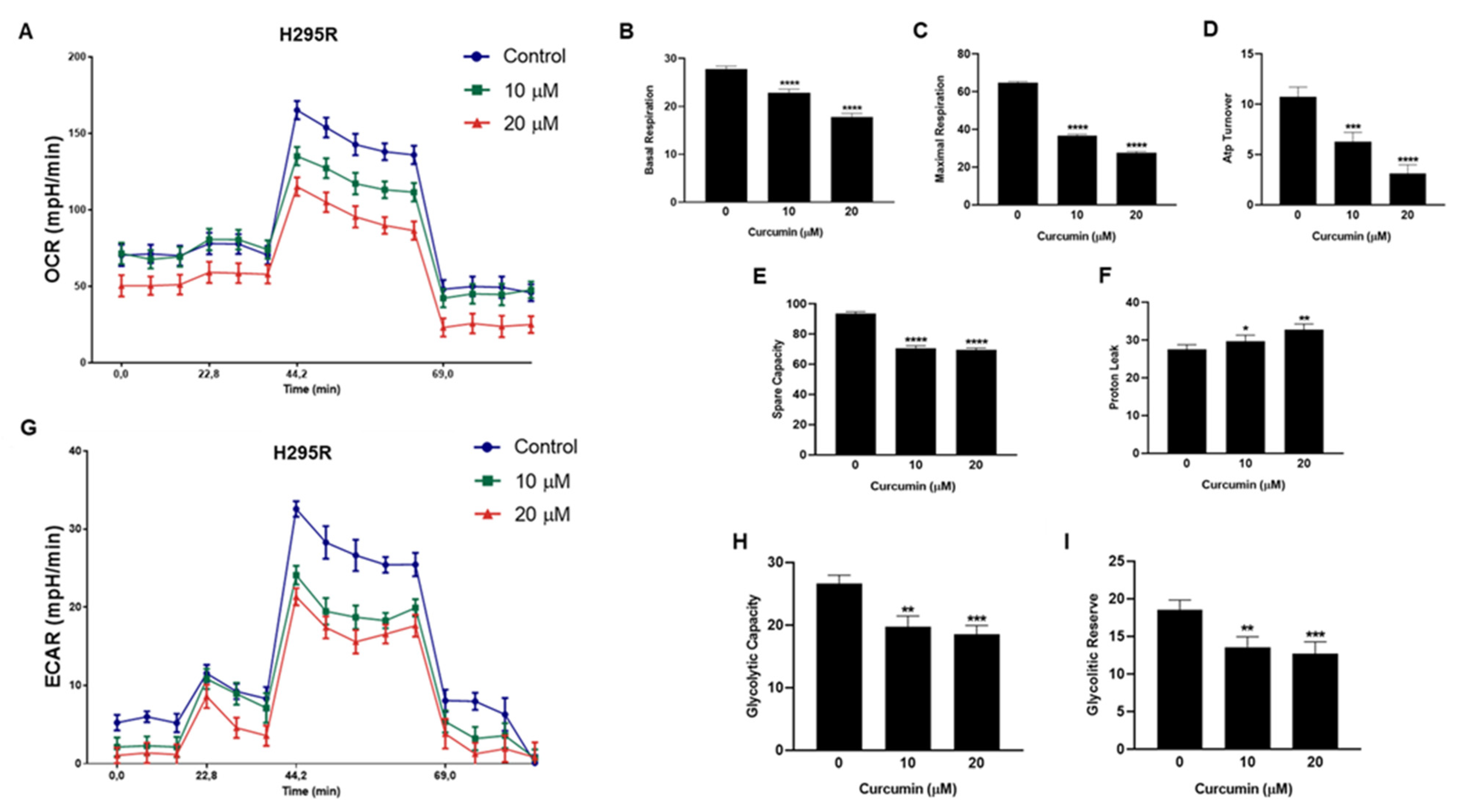 Cancers 15 01050 g004