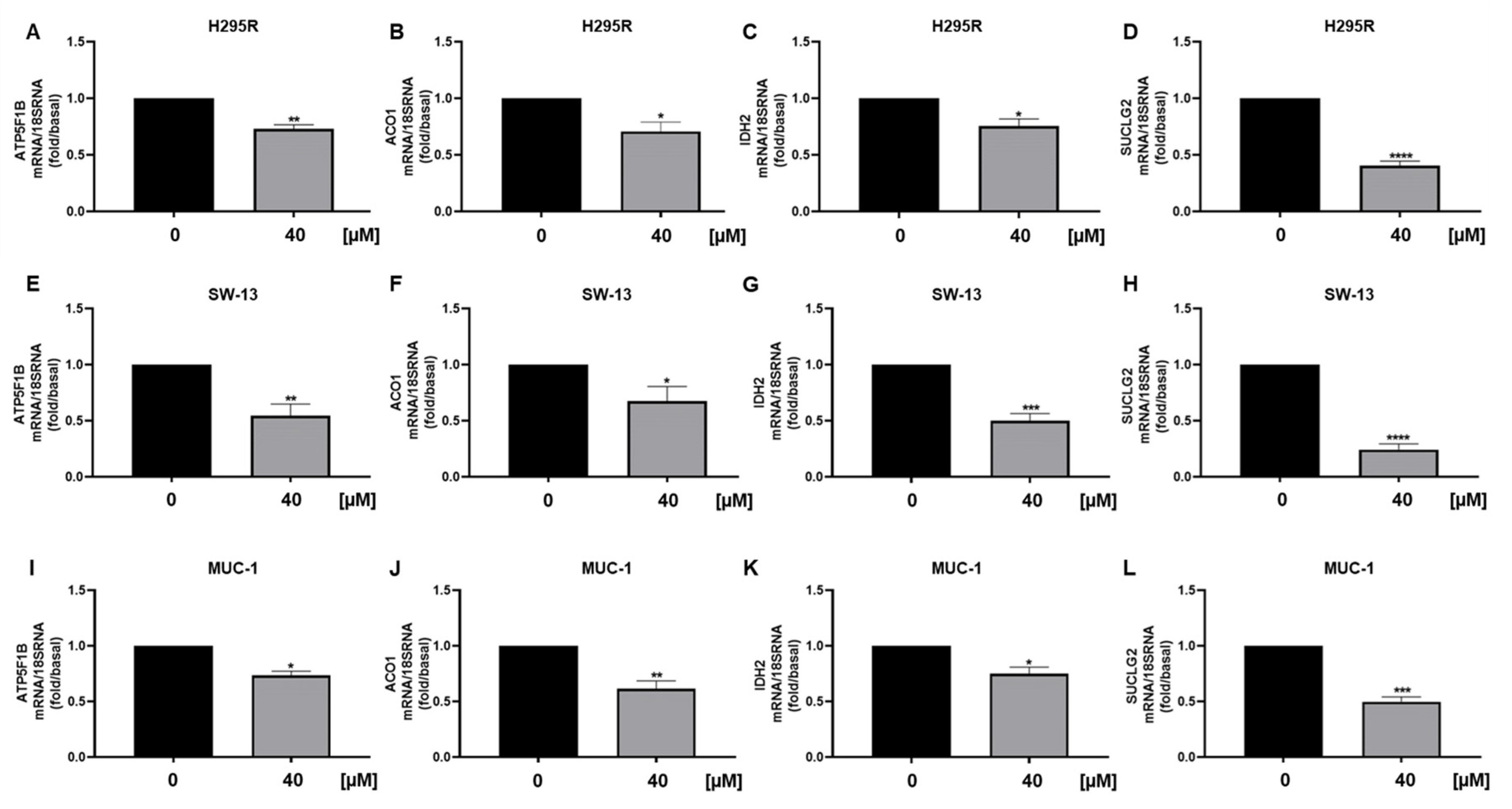 Cancers 15 01050 g008