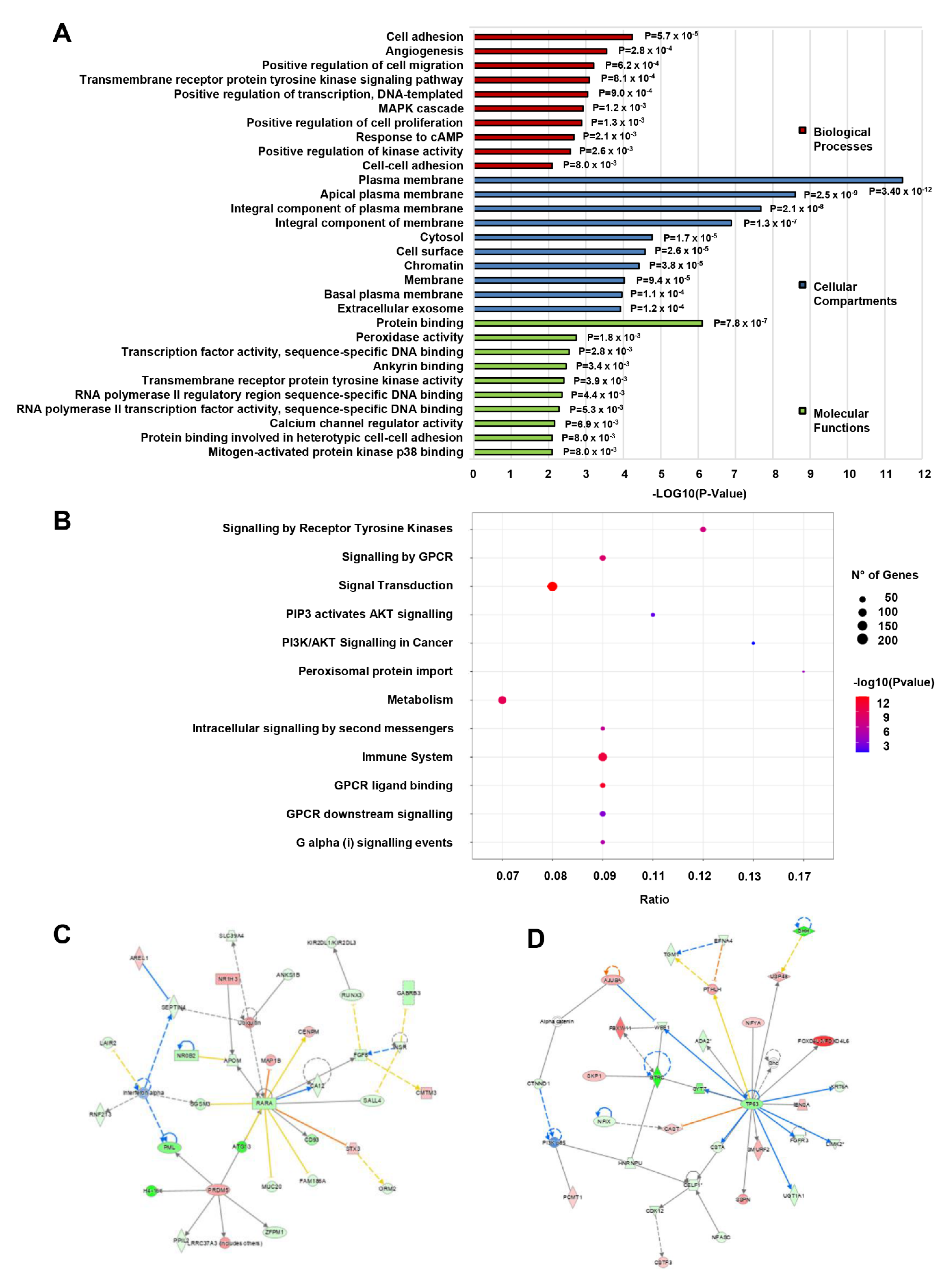 Cancers 15 01053 g005