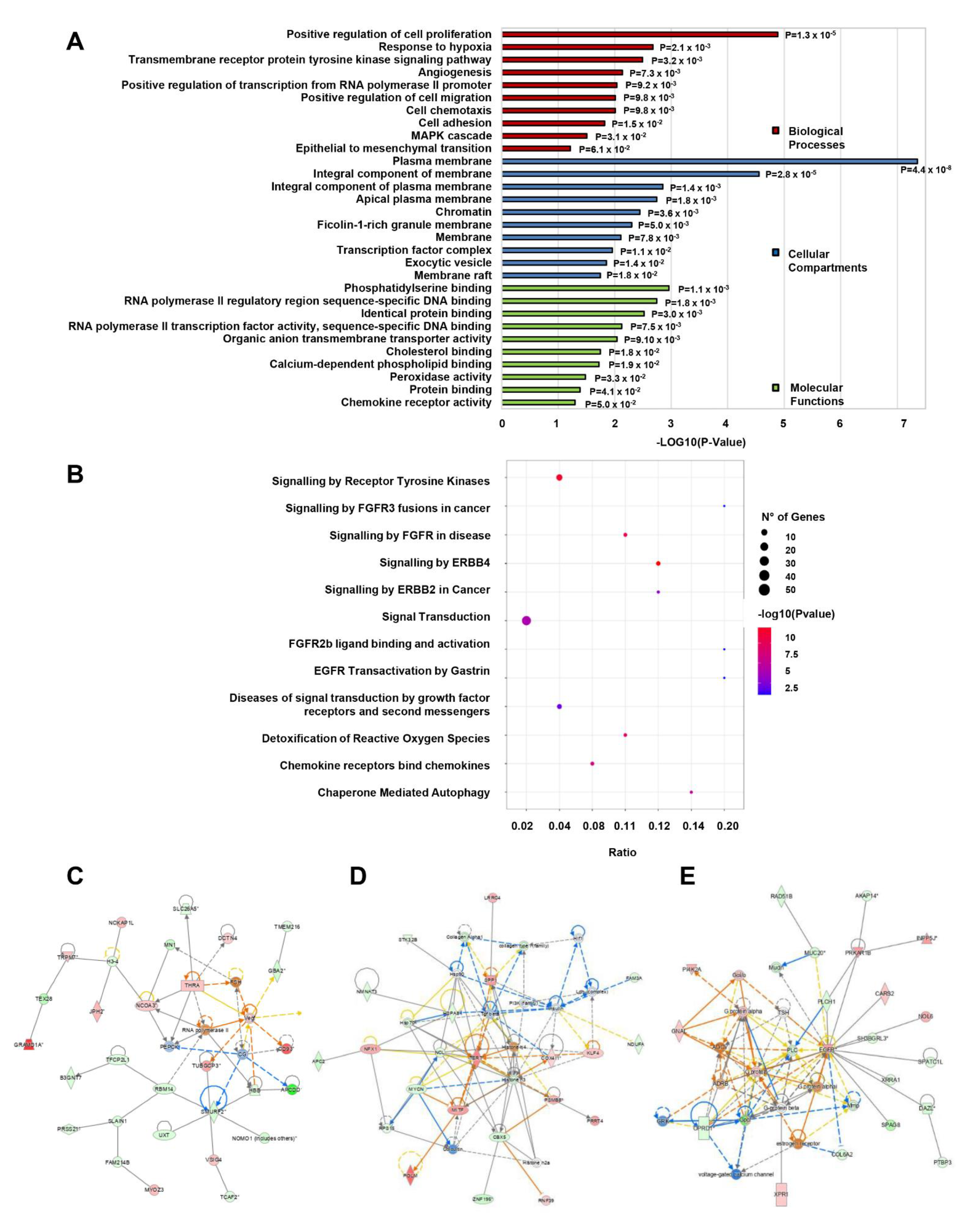 Cancers 15 01053 g006