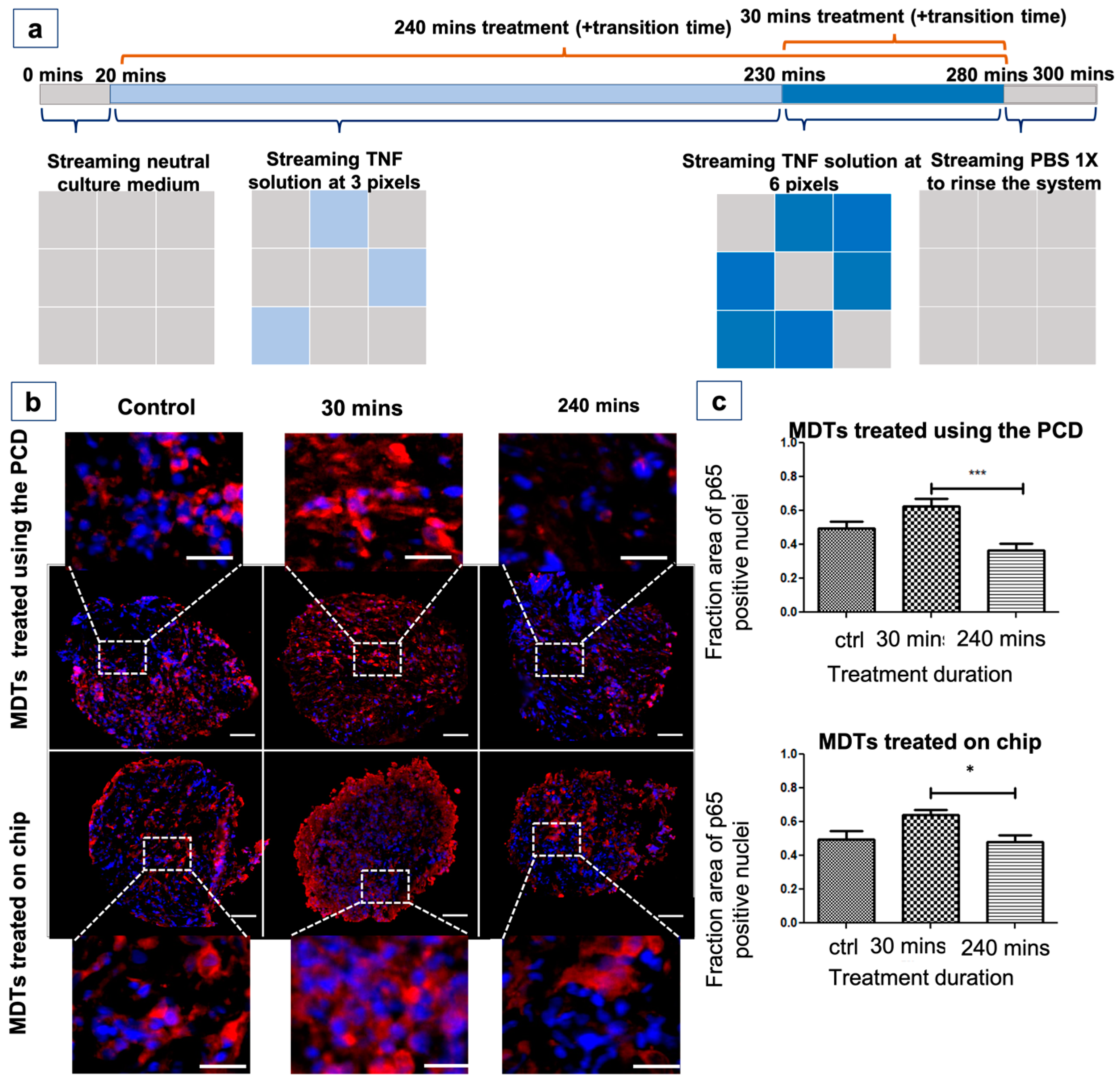 Cancers 15 01060 g006 Cancers 15 01060 g006