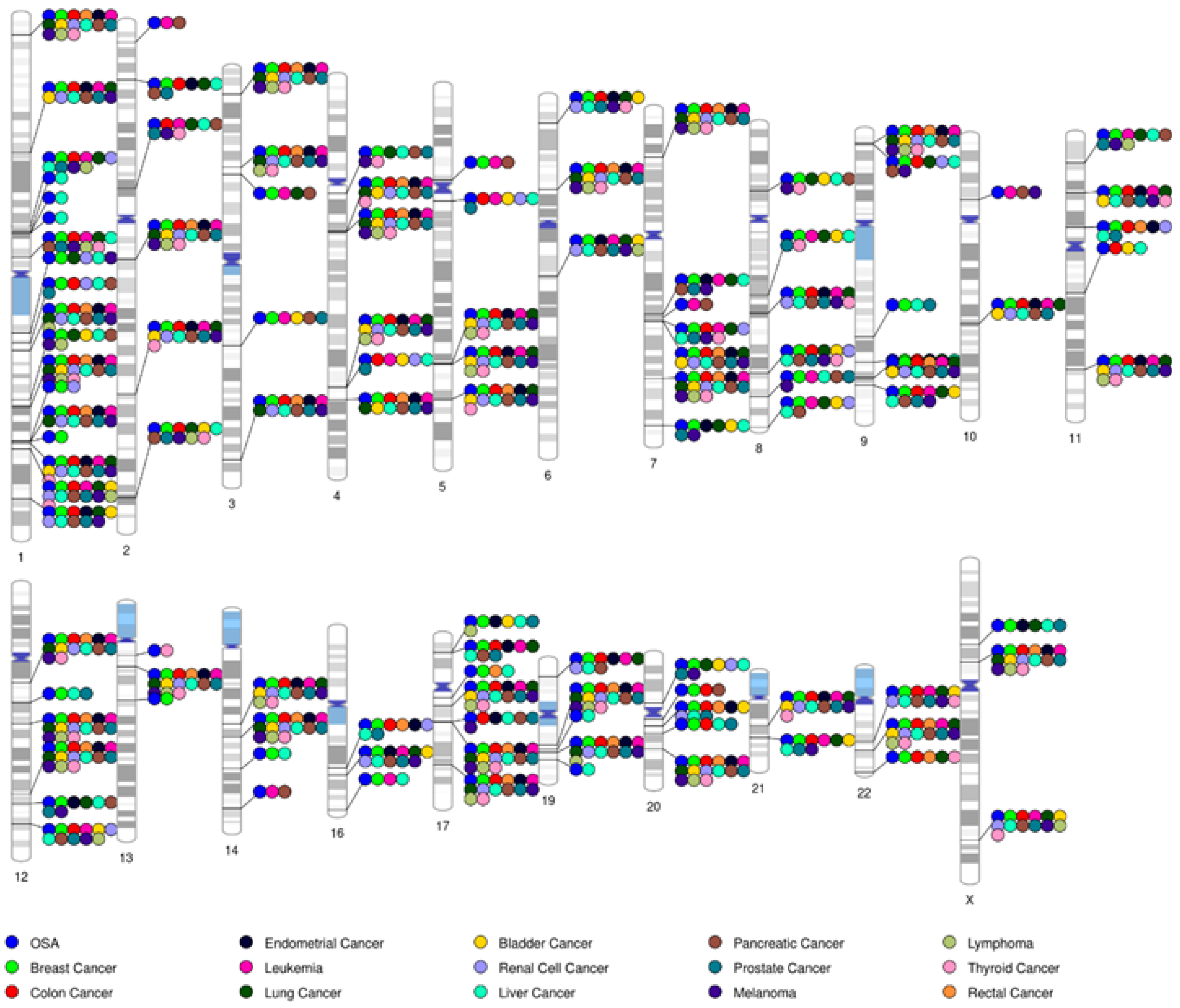 Cancers 15 01061 g001