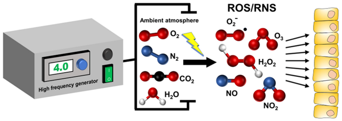 Cancers 15 01073 g001