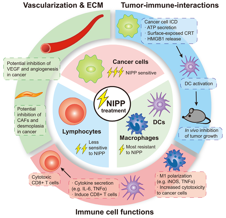 Cancers 15 01073 g002