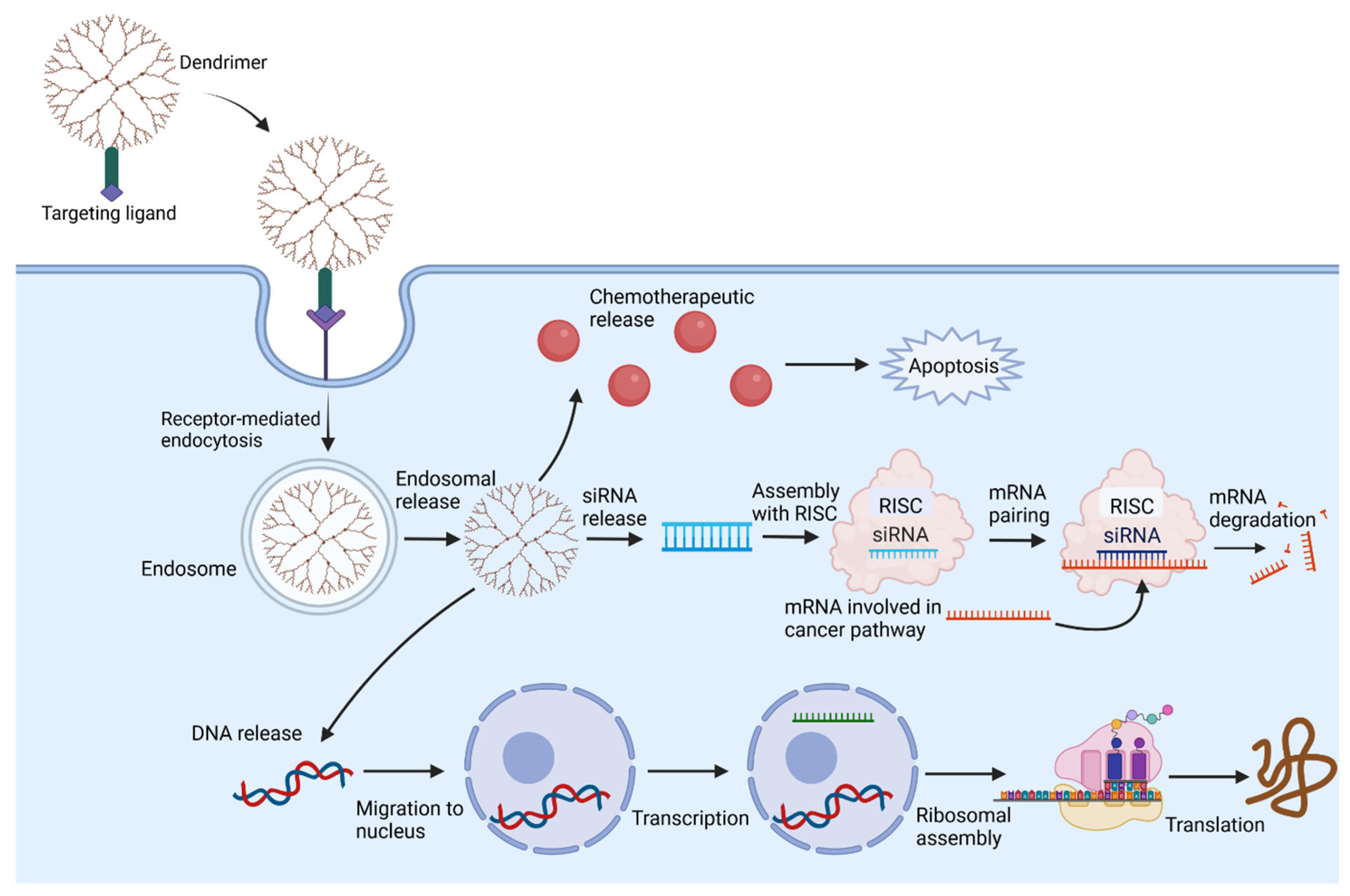 Cancers 15 01075 g003