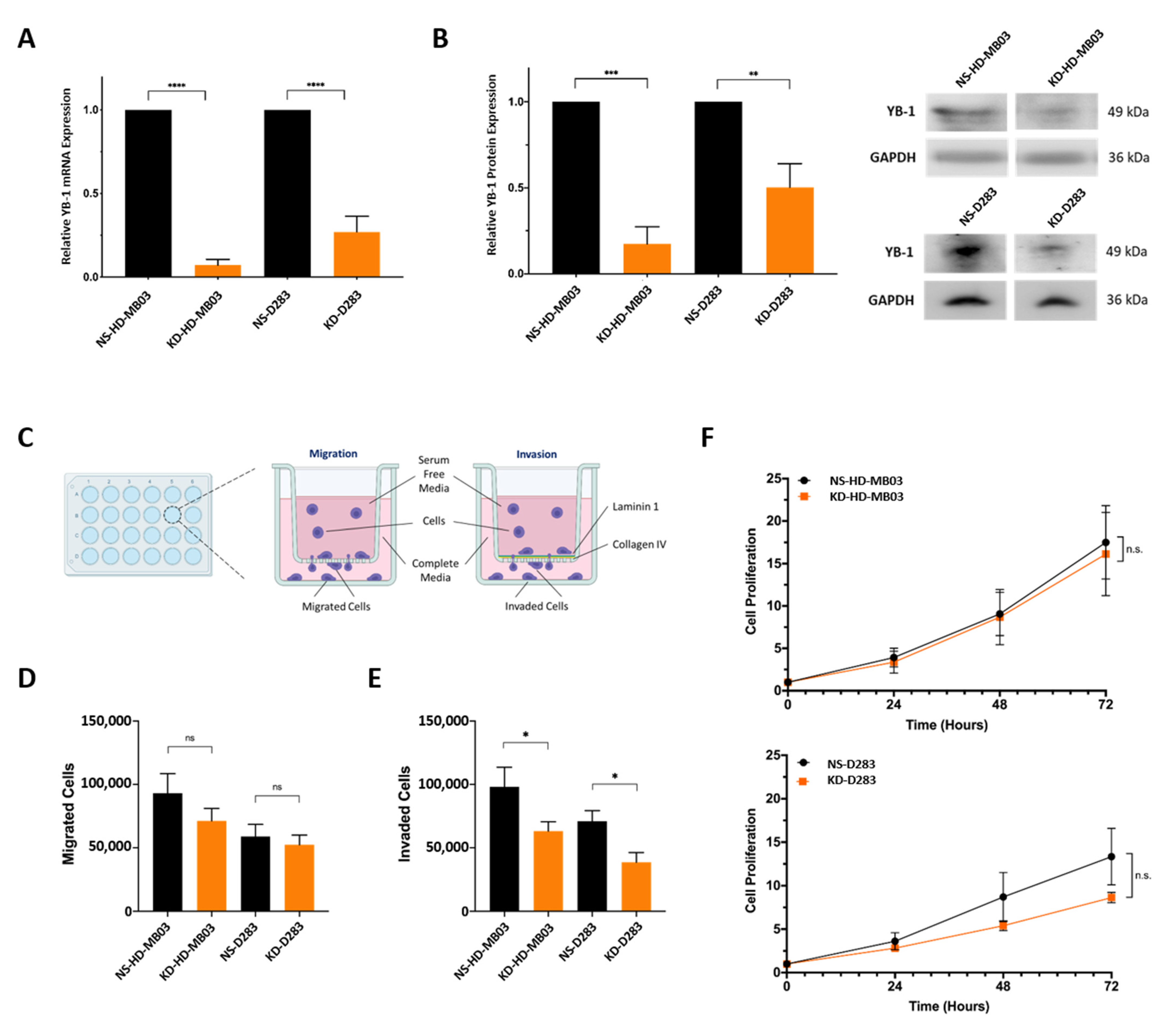 Cancers 15 01086 g002 Cancers 15 01086 g002