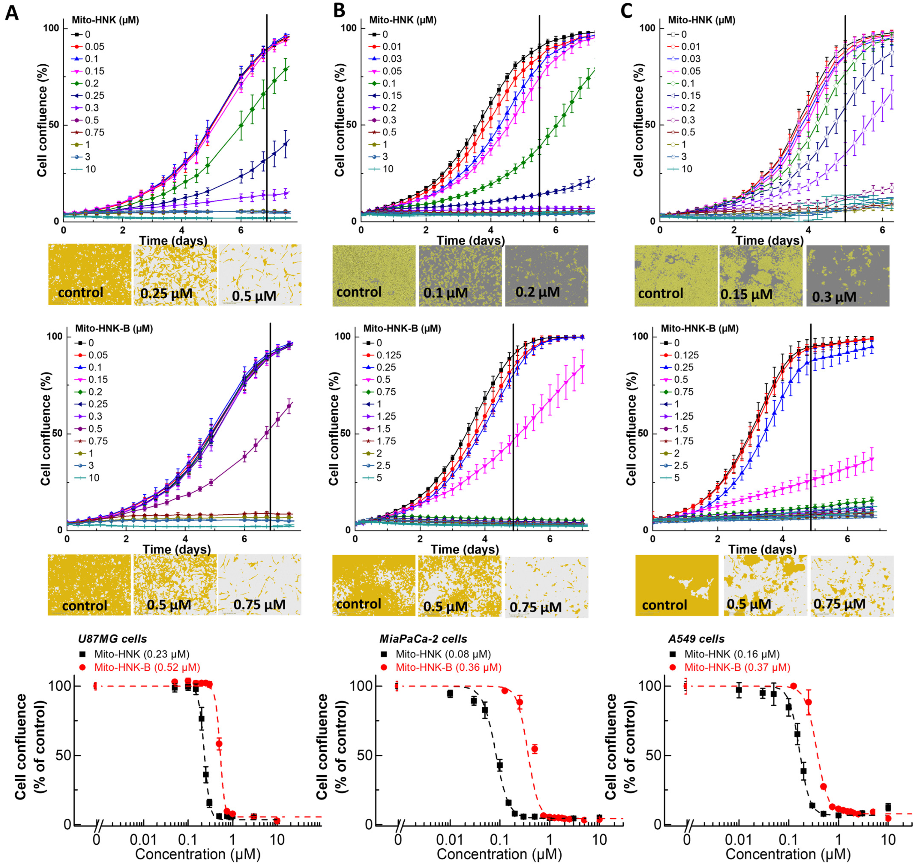 Cancers 15 01089 g003 Cancers 15 01089 g003