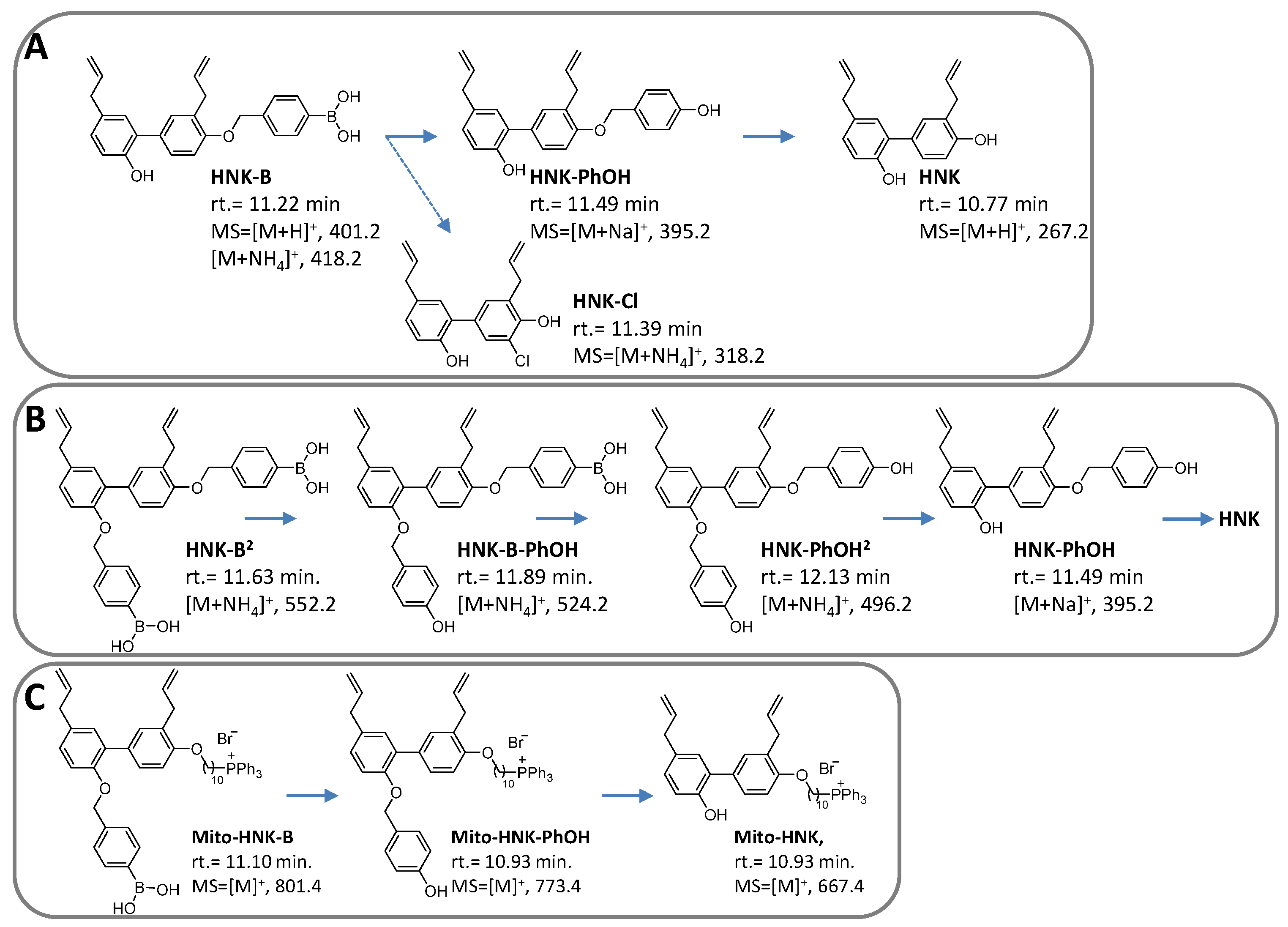 Cancers 15 01089 g007 Cancers 15 01089 g007