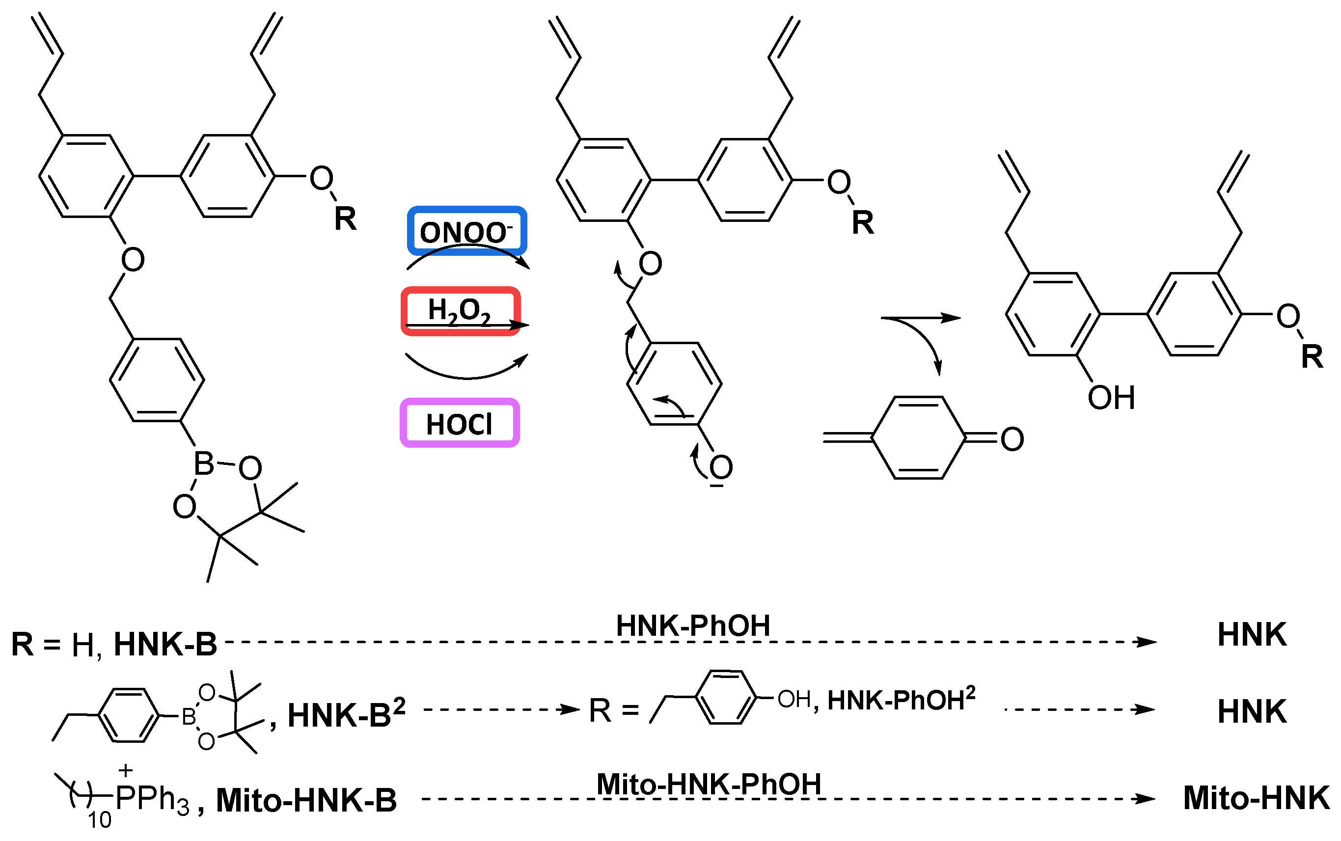 Cancers 15 01089 g008 Cancers 15 01089 g008
