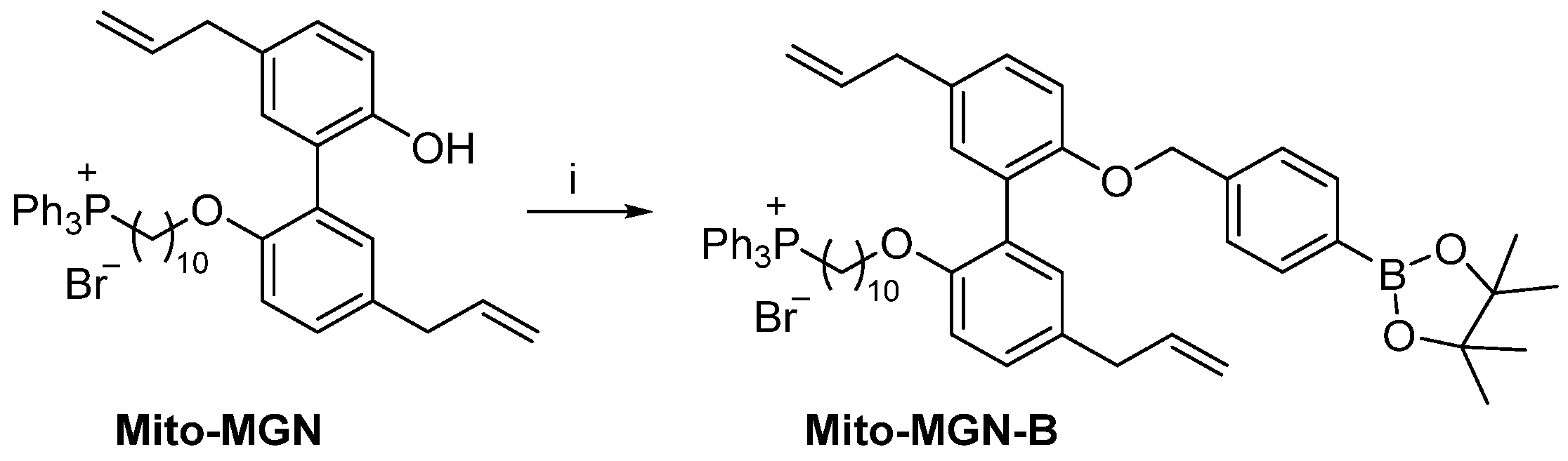 Cancers 15 01089 sch004 Cancers 15 01089 sch004