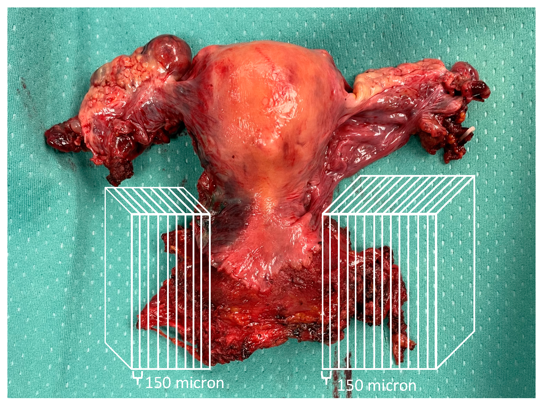 Cancers 15 01099 g001