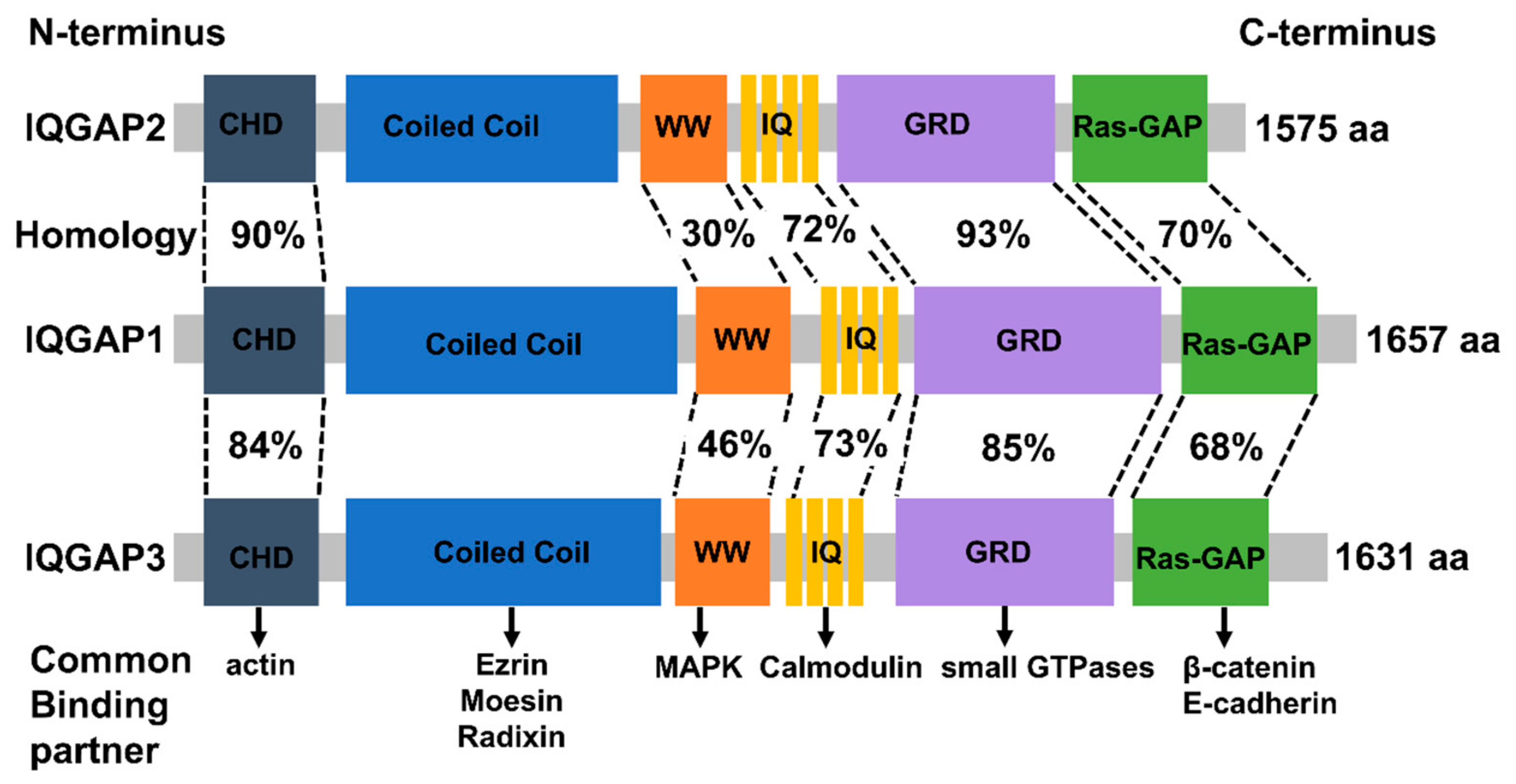 Cancers 15 01115 g001 Cancers 15 01115 g001