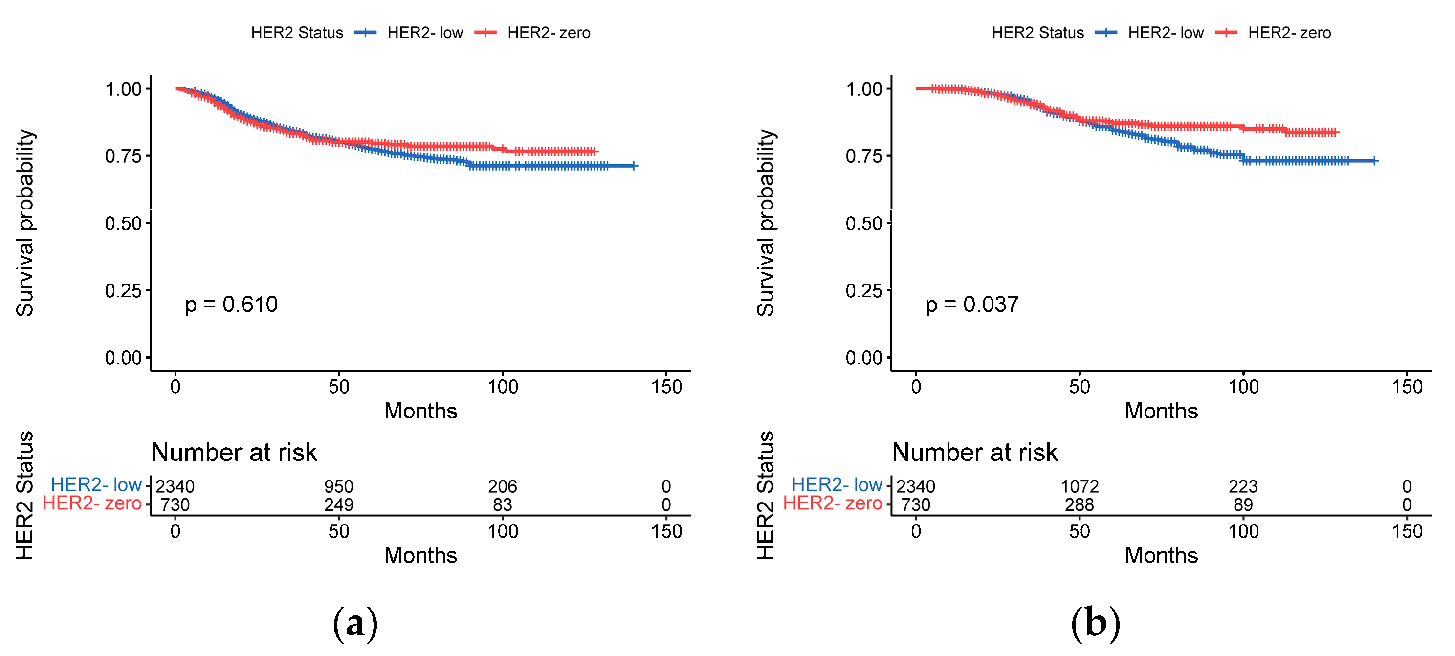 Cancers 15 01157 g004 Cancers 15 01157 g004