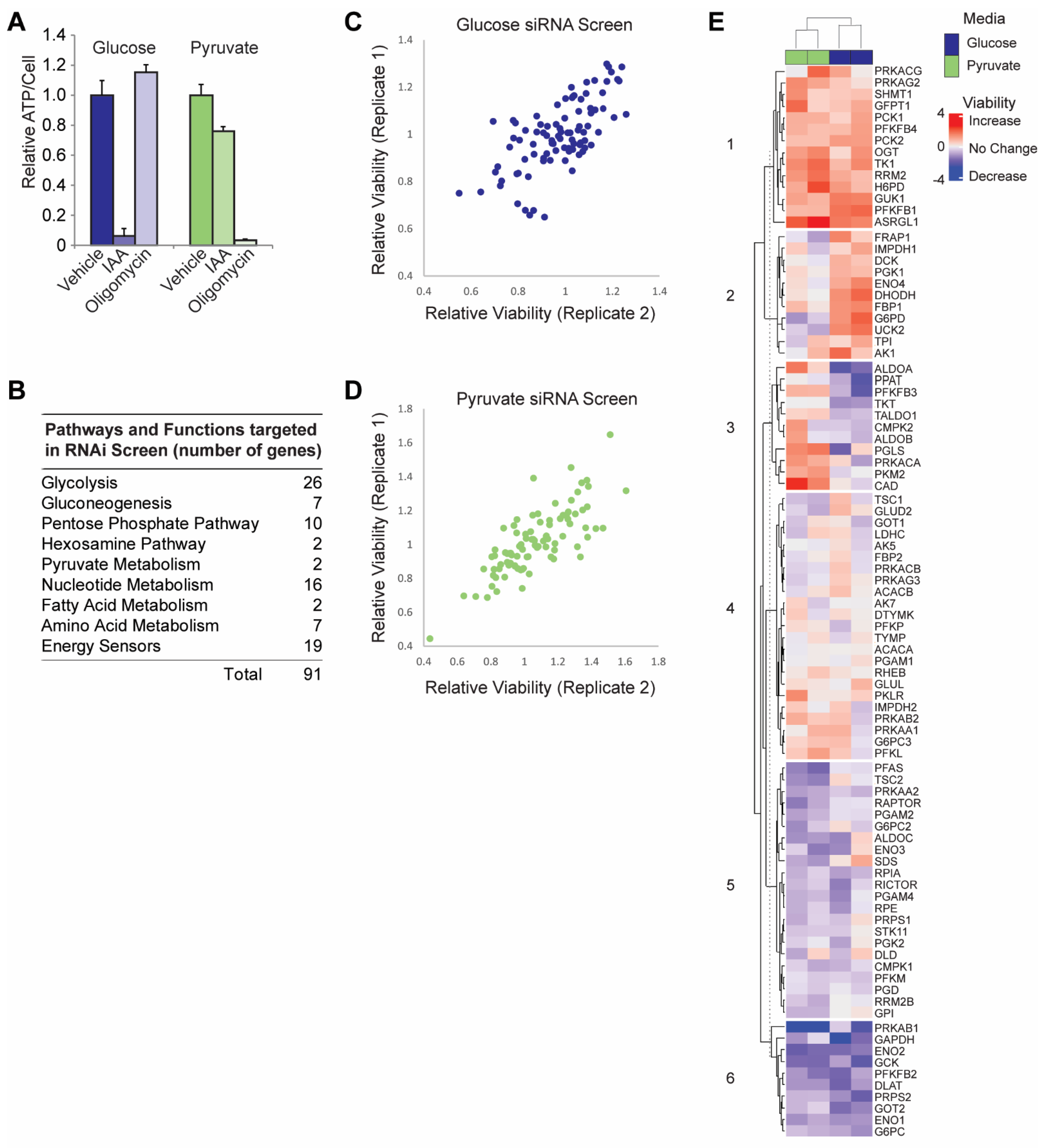 Cancers 15 01158 g001 Cancers 15 01158 g001