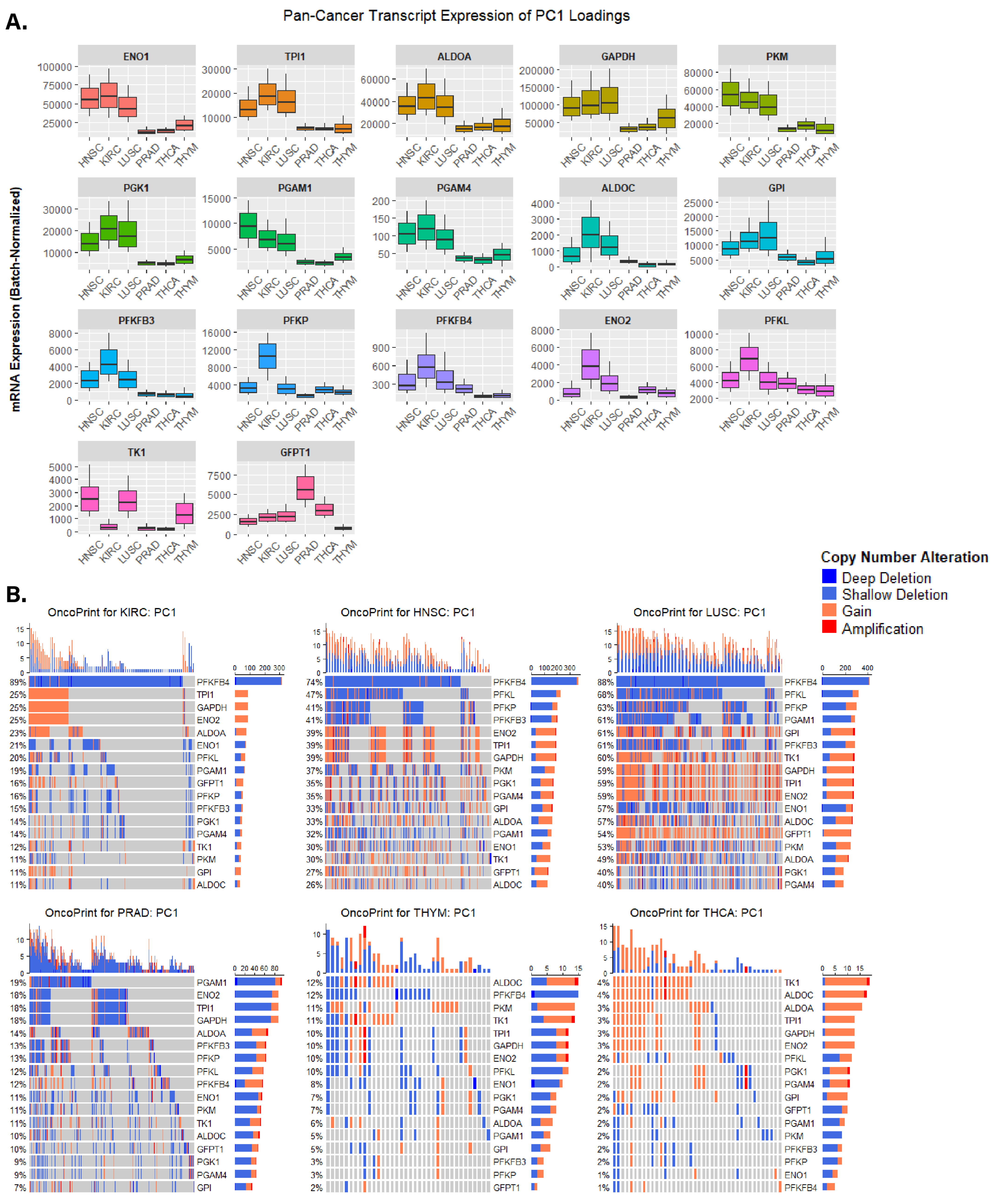 Cancers 15 01158 g004 Cancers 15 01158 g004