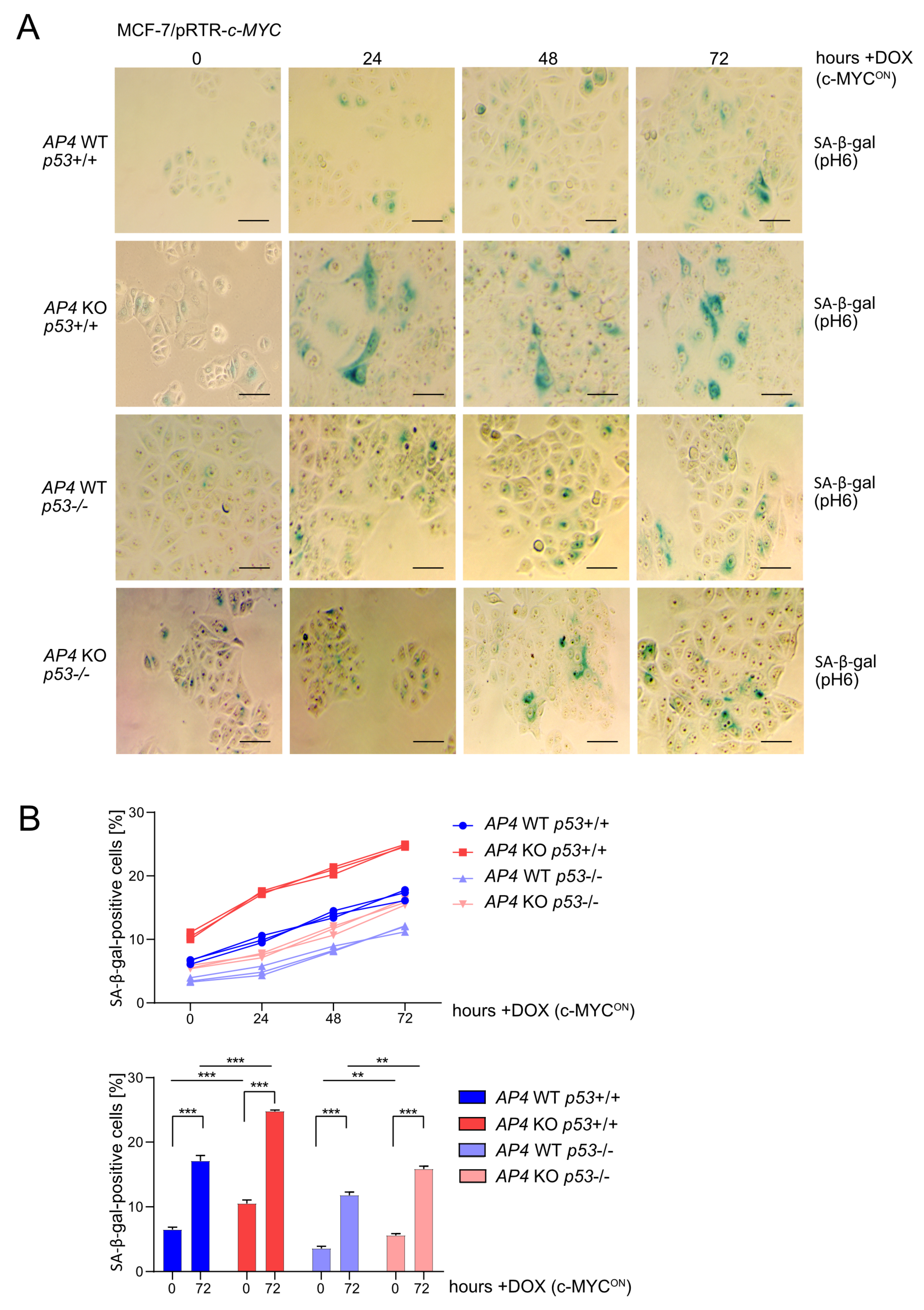 Cancers 15 01162 g003 Cancers 15 01162 g003