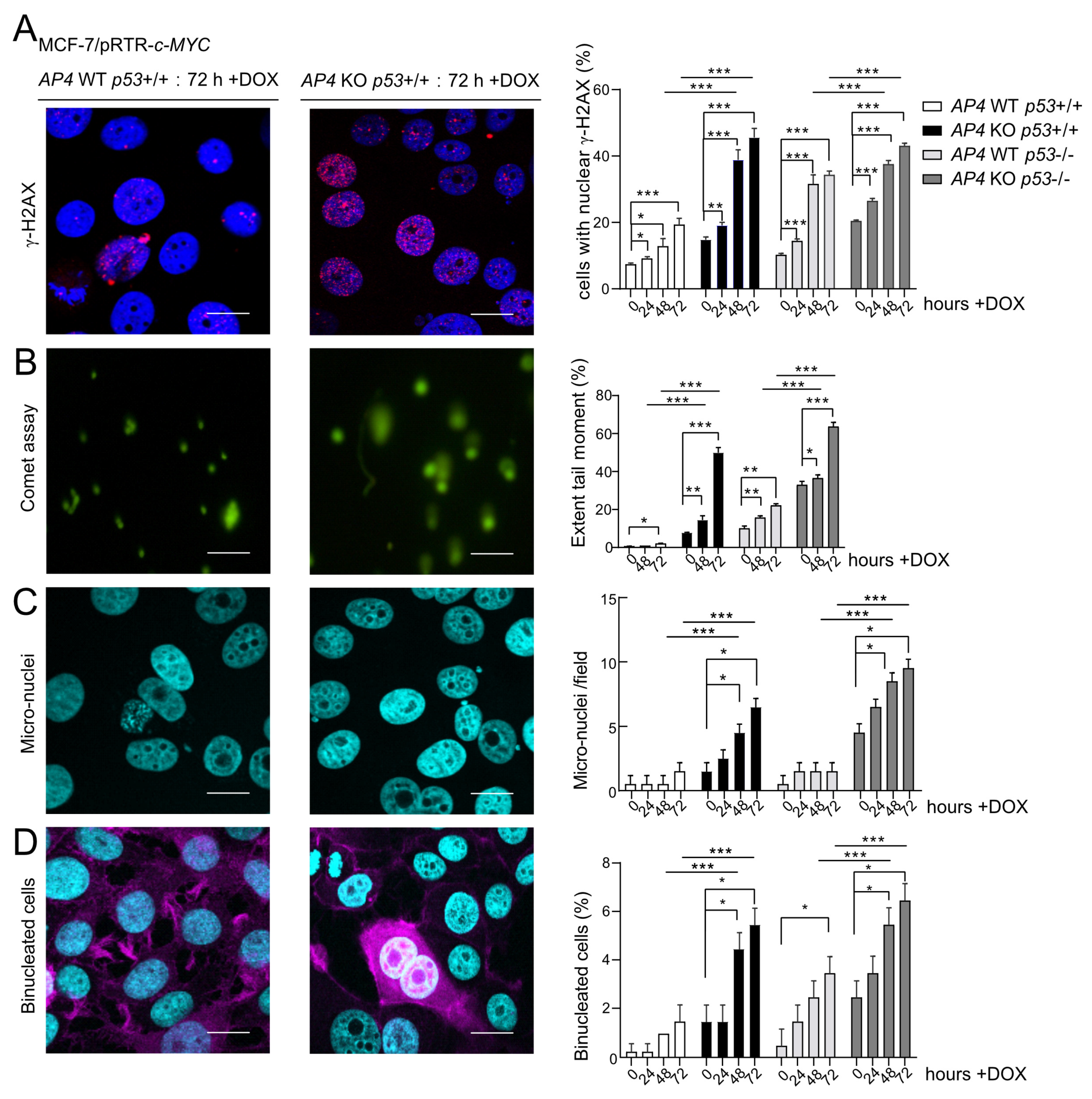 Cancers 15 01162 g004 Cancers 15 01162 g004