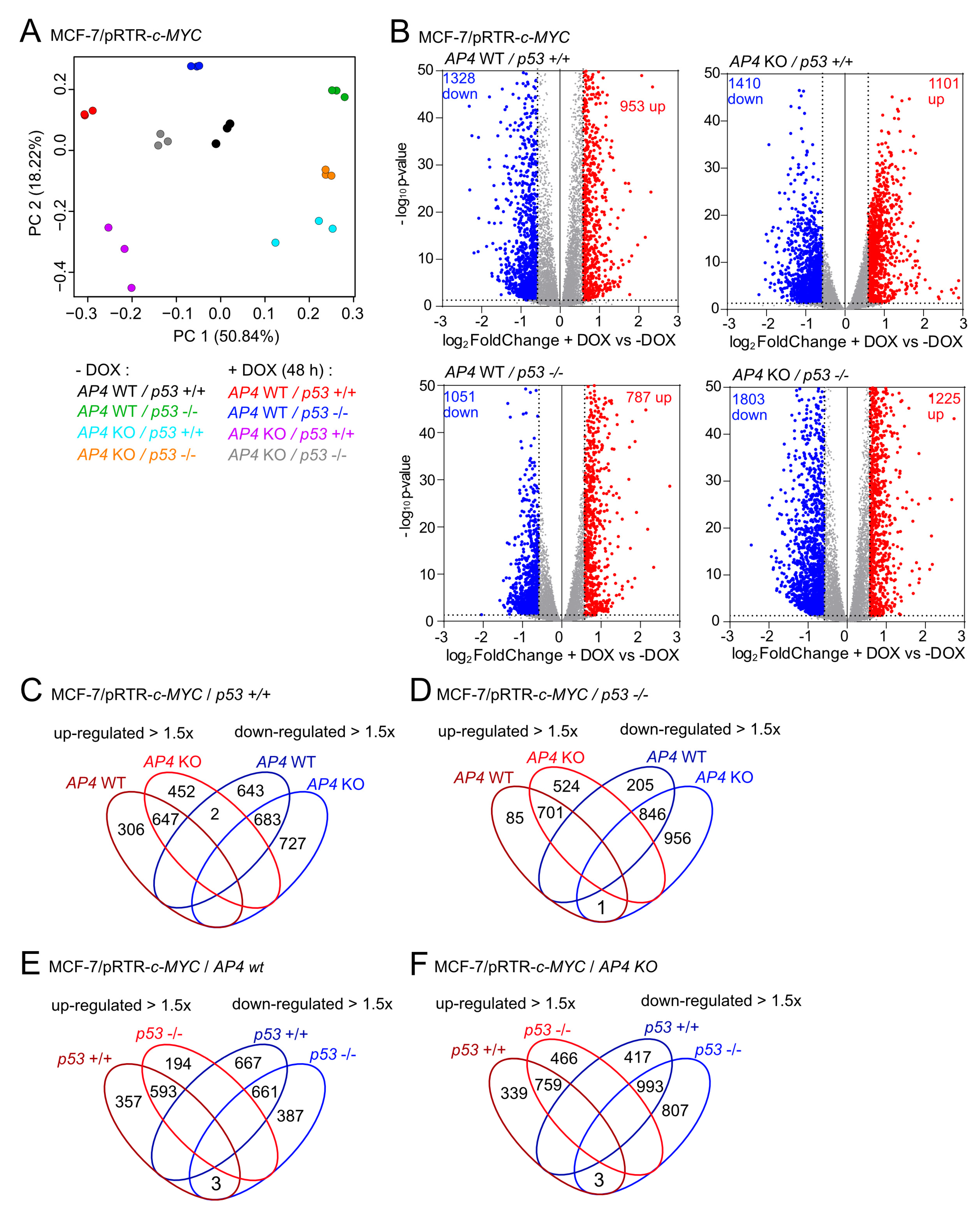 Cancers 15 01162 g005 Cancers 15 01162 g005