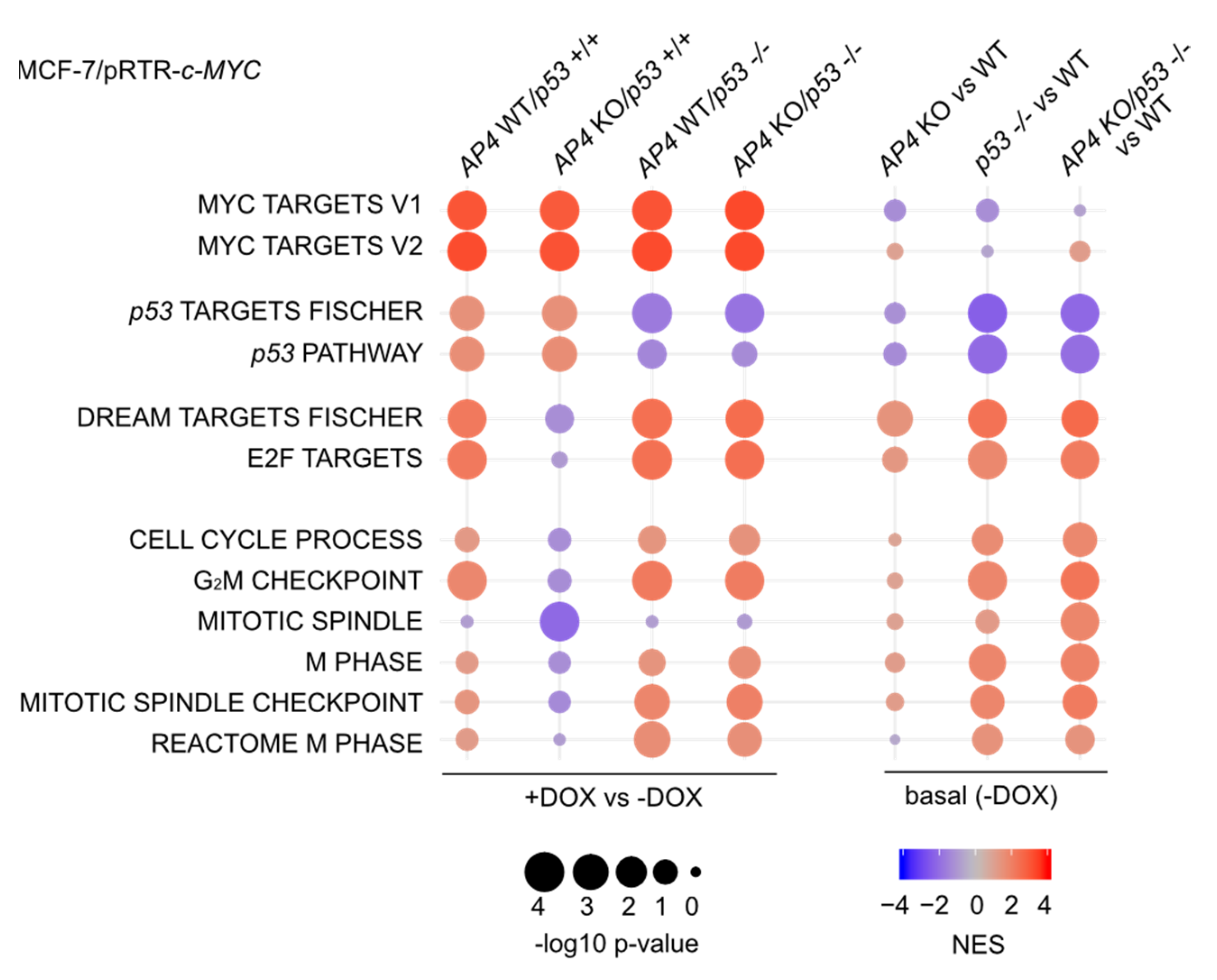 Cancers 15 01162 g006 Cancers 15 01162 g006