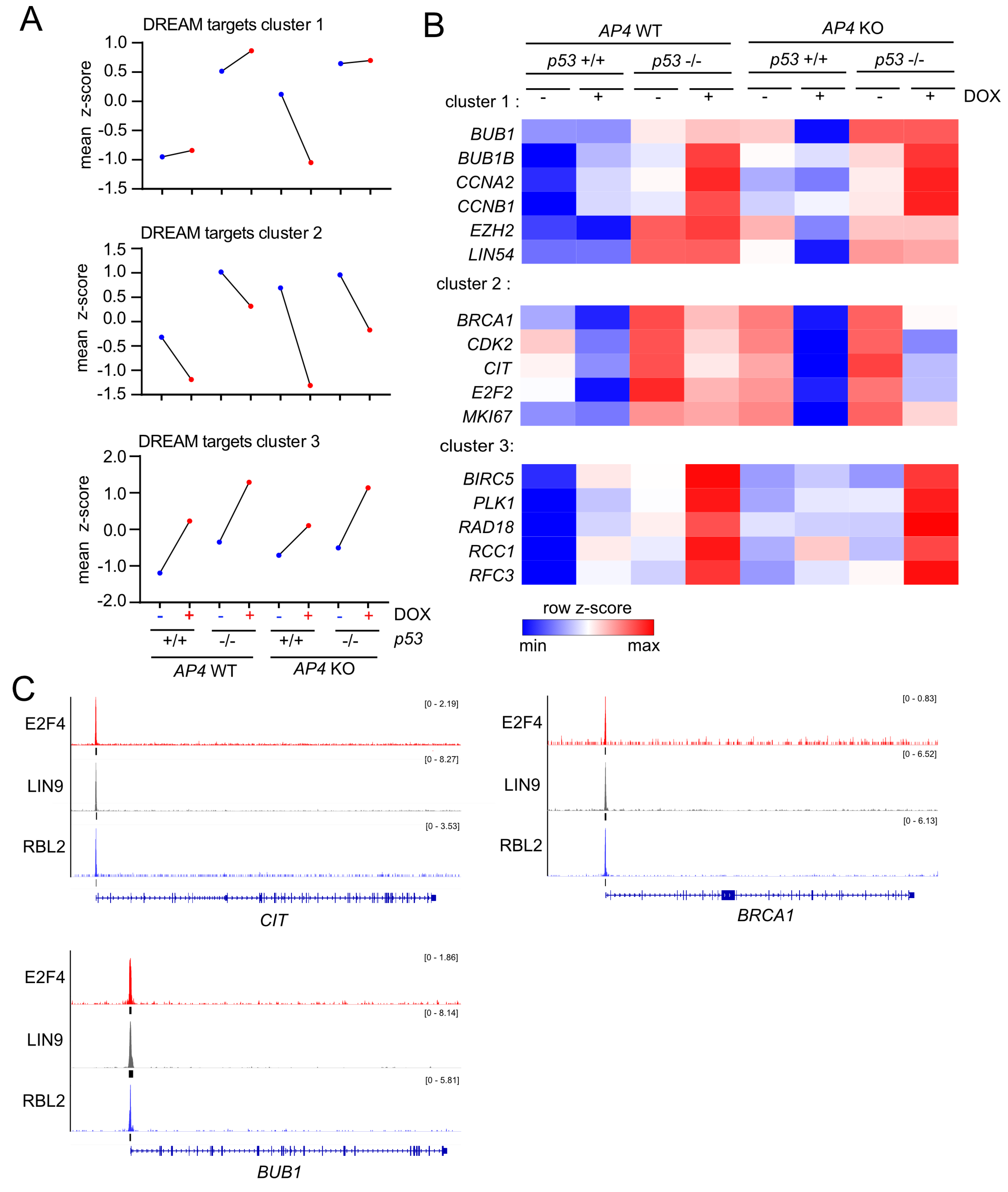 Cancers 15 01162 g008 Cancers 15 01162 g008