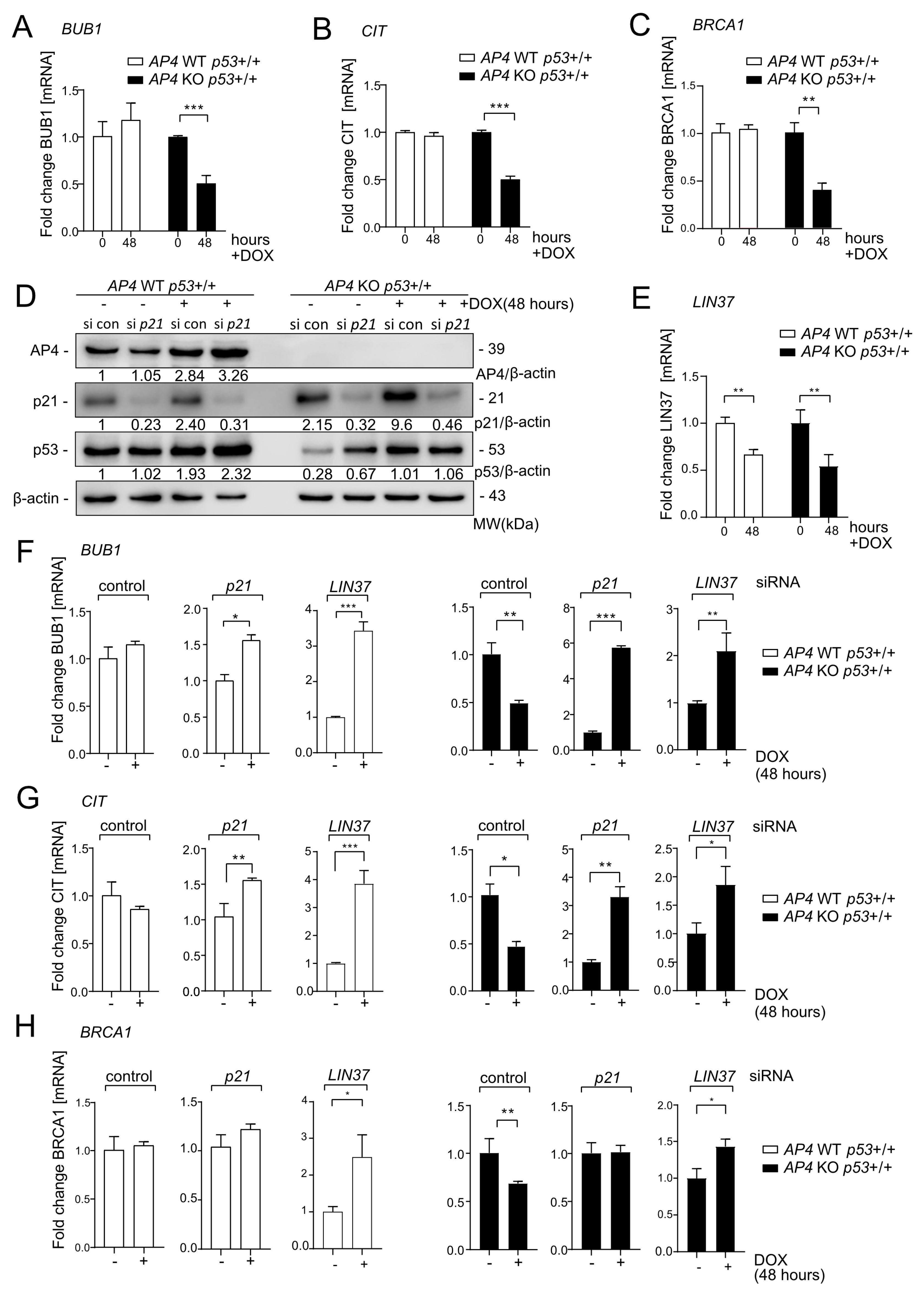 Cancers 15 01162 g009 Cancers 15 01162 g009