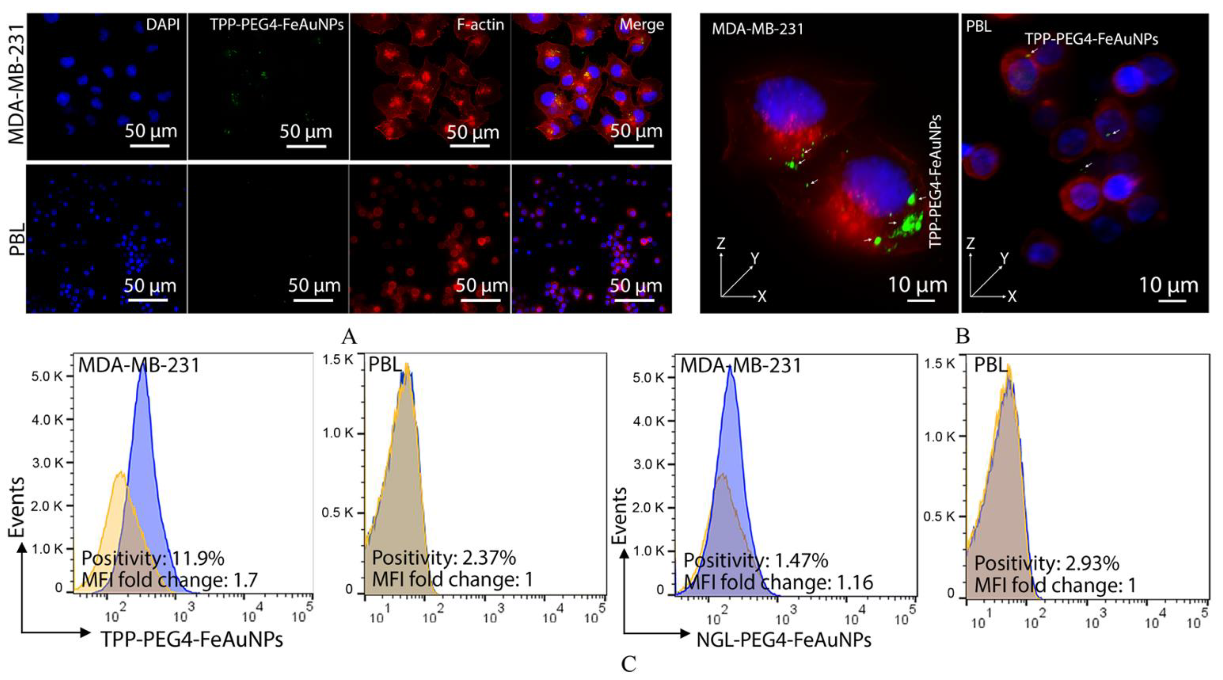 Cancers 15 01167 g003