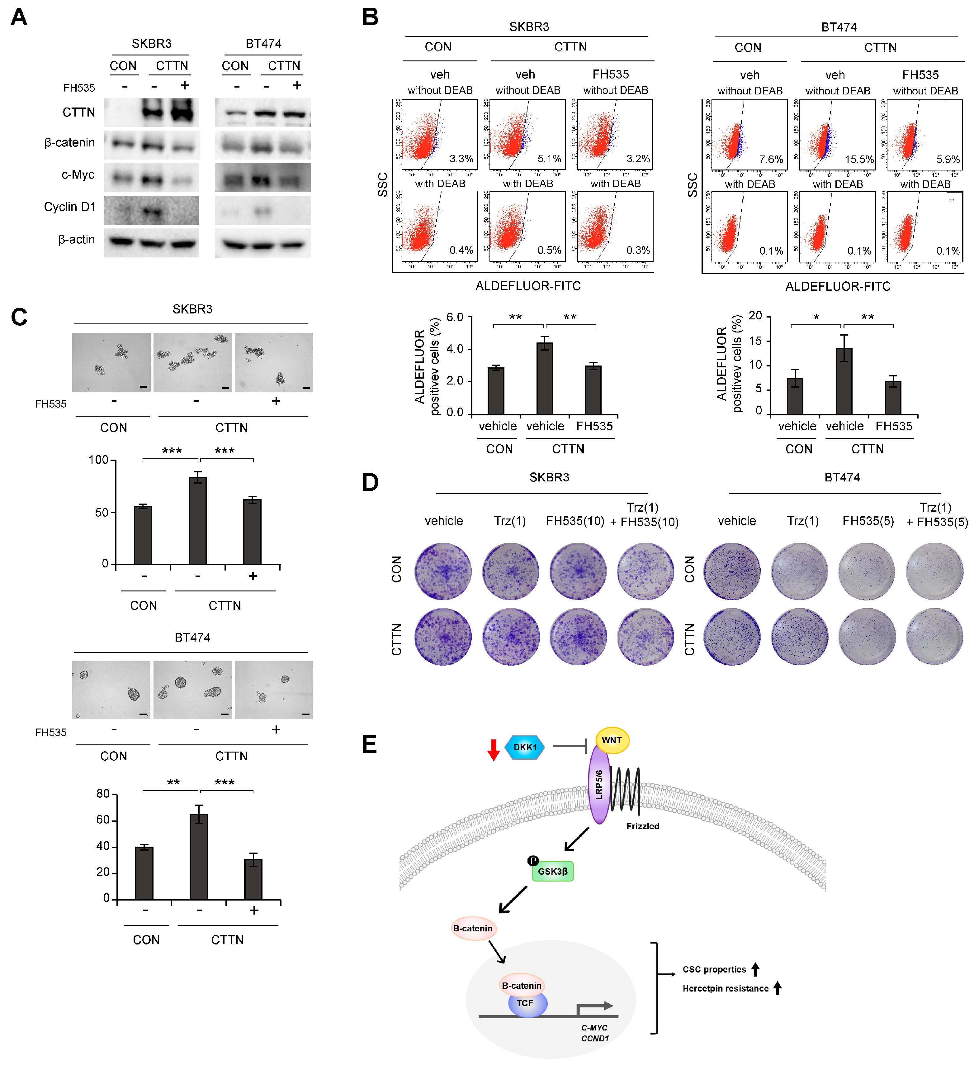 Cancers 15 01168 g004 Cancers 15 01168 g004
