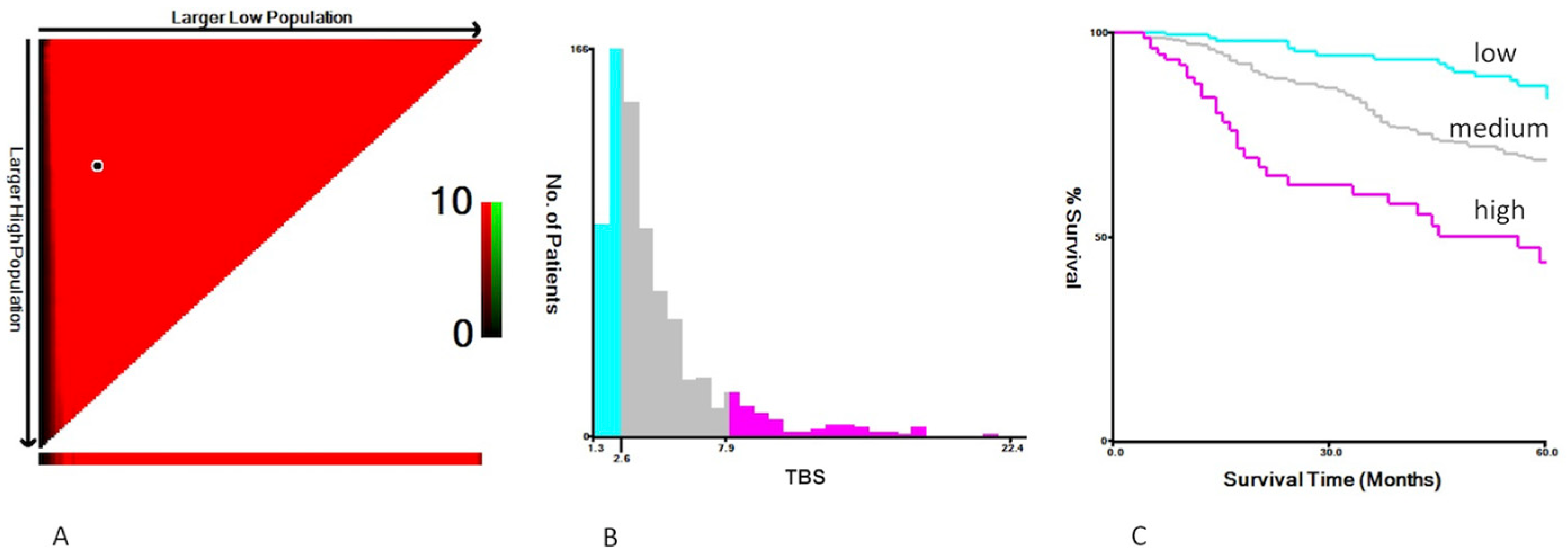 Cancers 15 01203 g001 Cancers 15 01203 g001