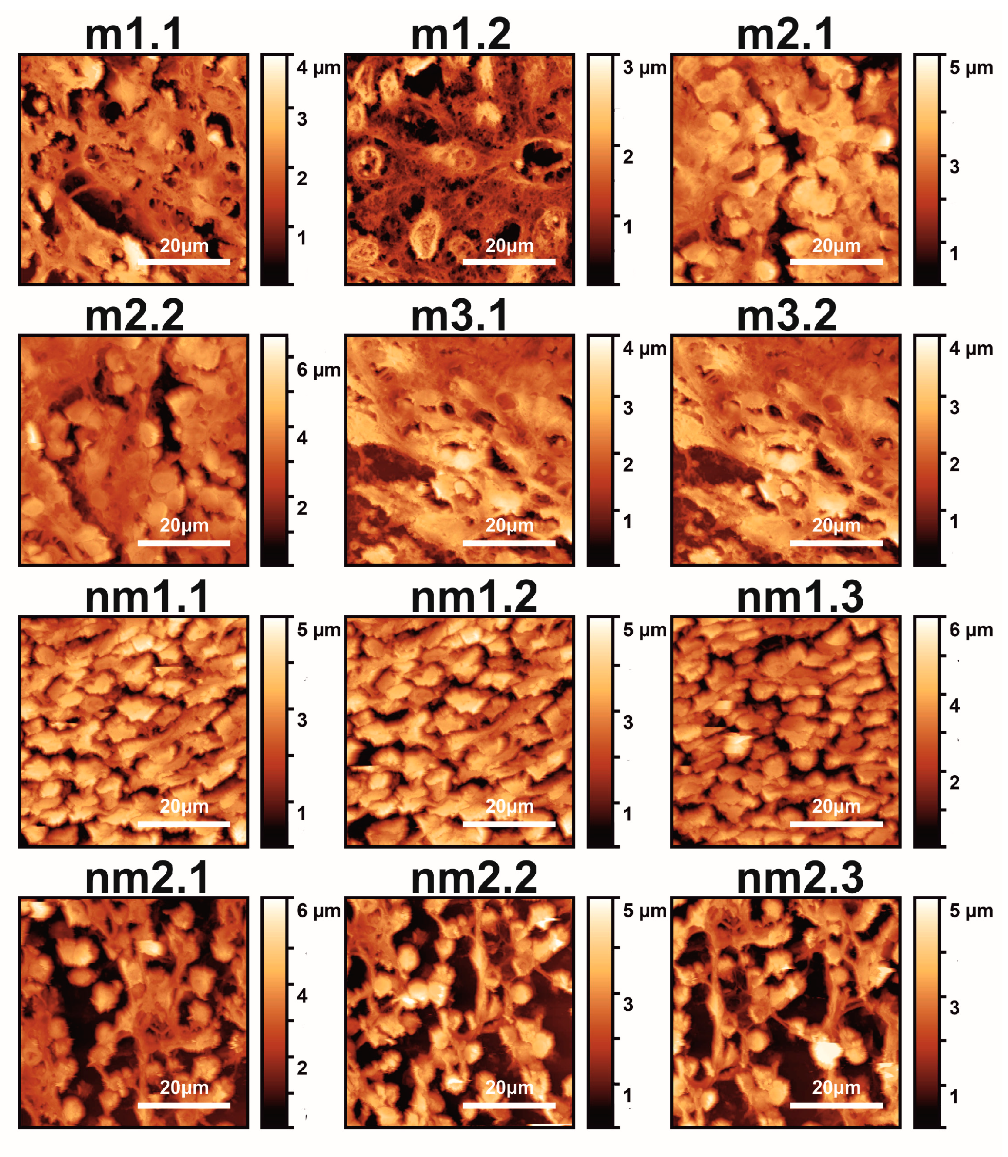 Cancers 15 01220 g001