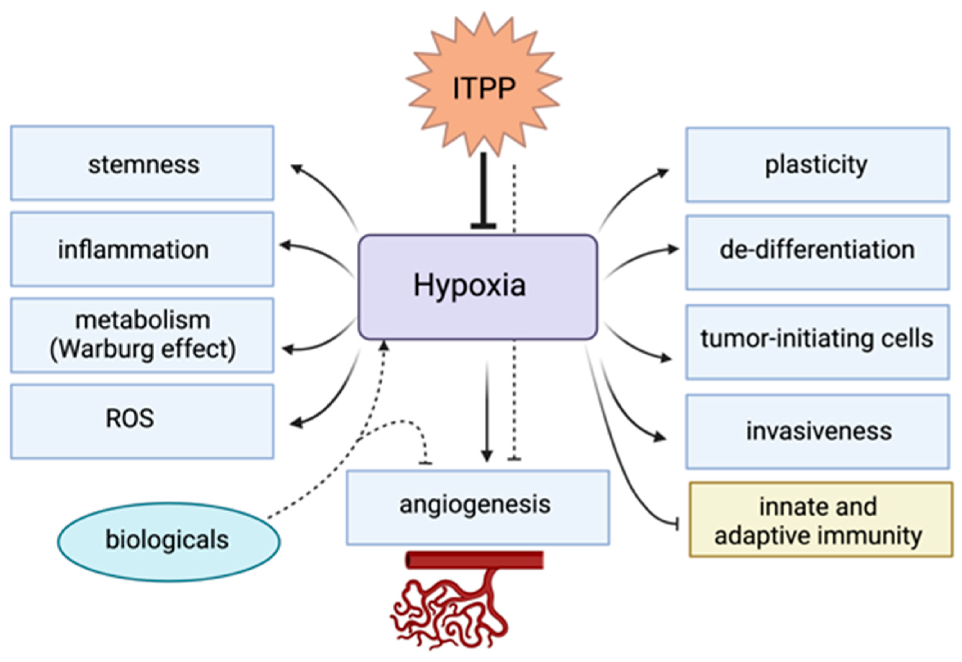 Cancers | Free Full-Text | Hypoxia, a Targetable Culprit to Counter  Pancreatic Cancer Resistance to Therapy