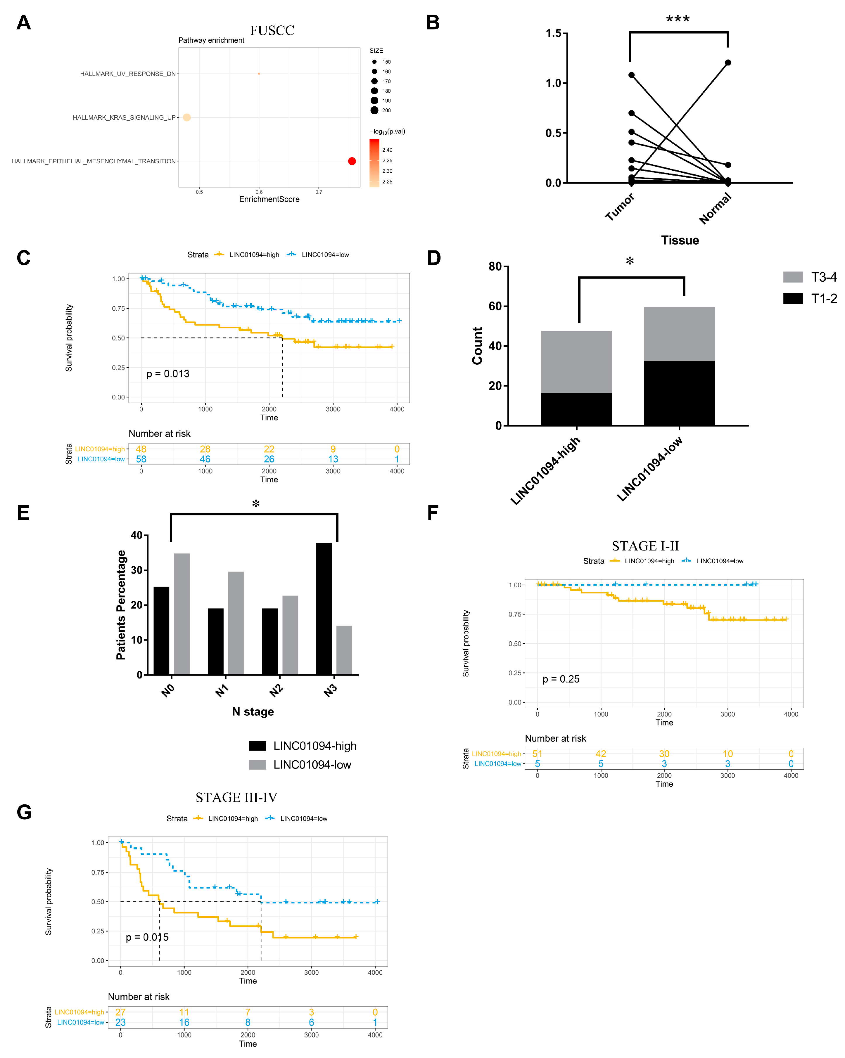 Cancers | Free Full-Text | LncRNA LINC01094 Promotes Cells ...