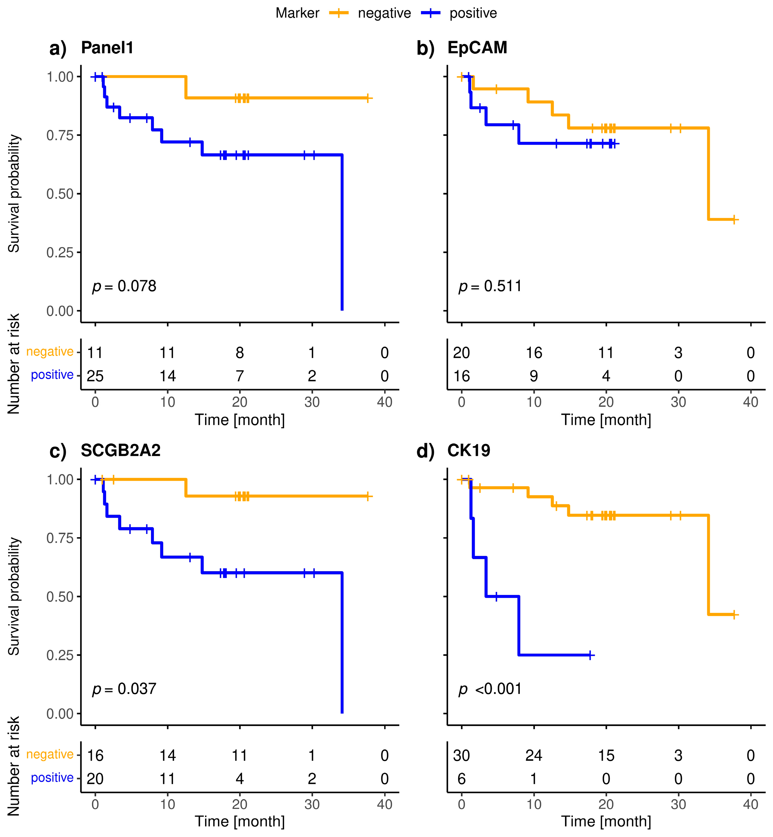 Cancers 15 01271 g003