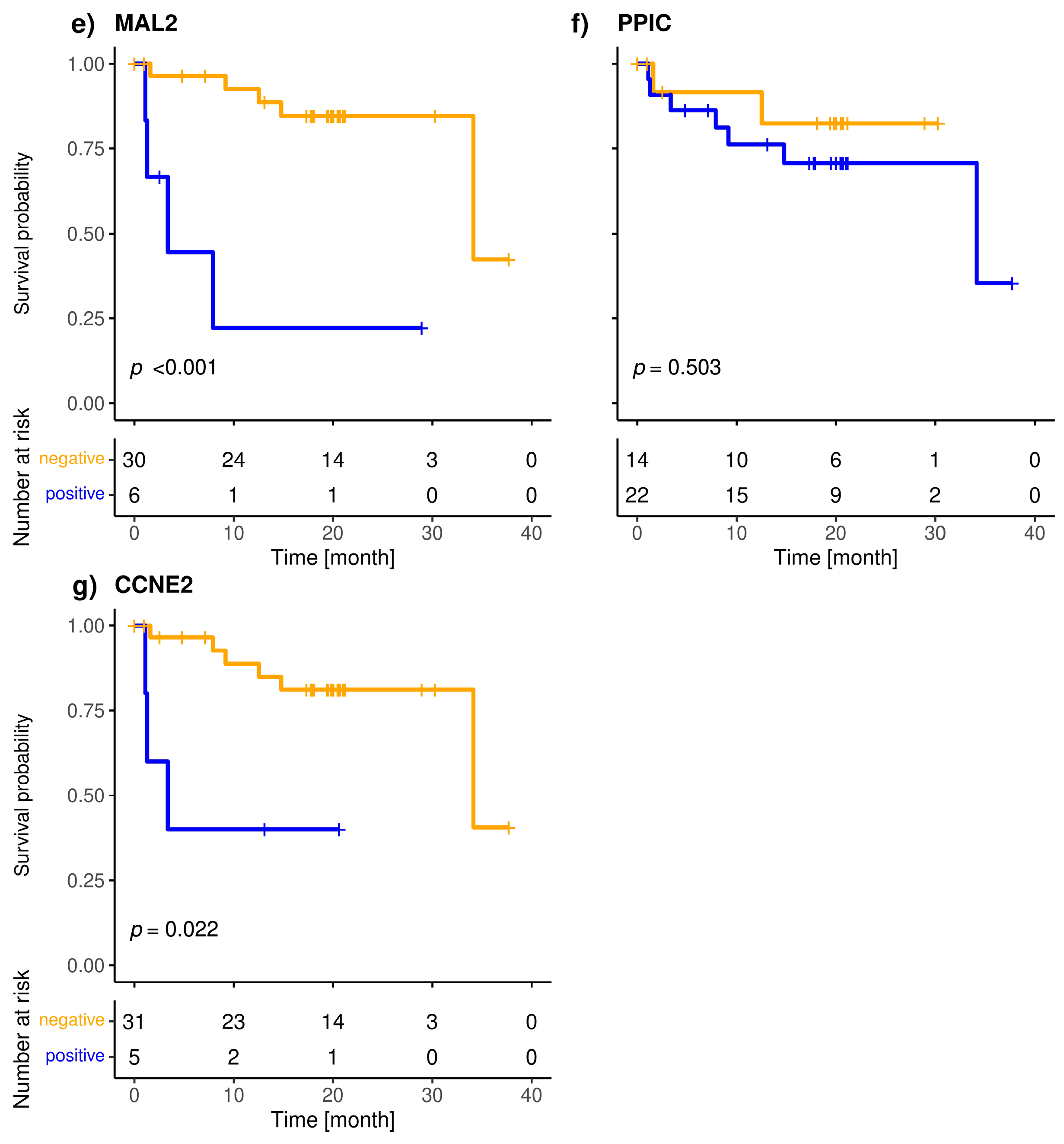 Cancers 15 01271 g004b