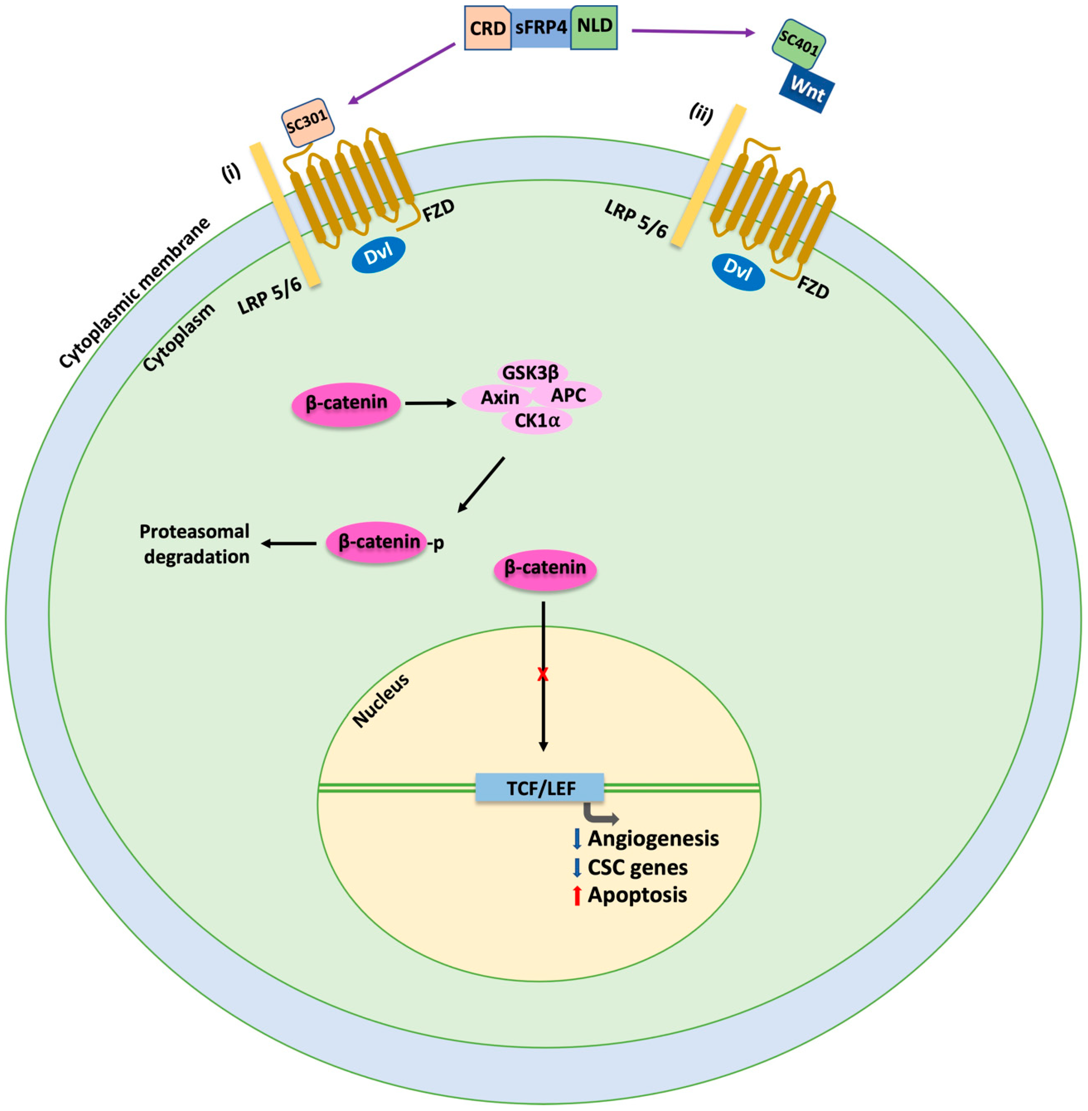 Cancers 15 01275 g003