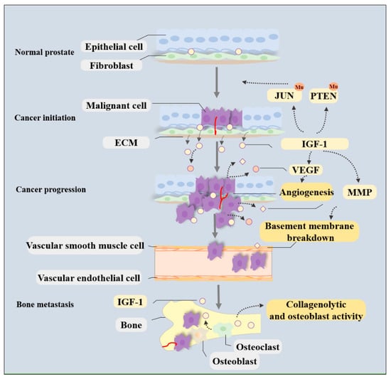 Cancers, Free Full-Text