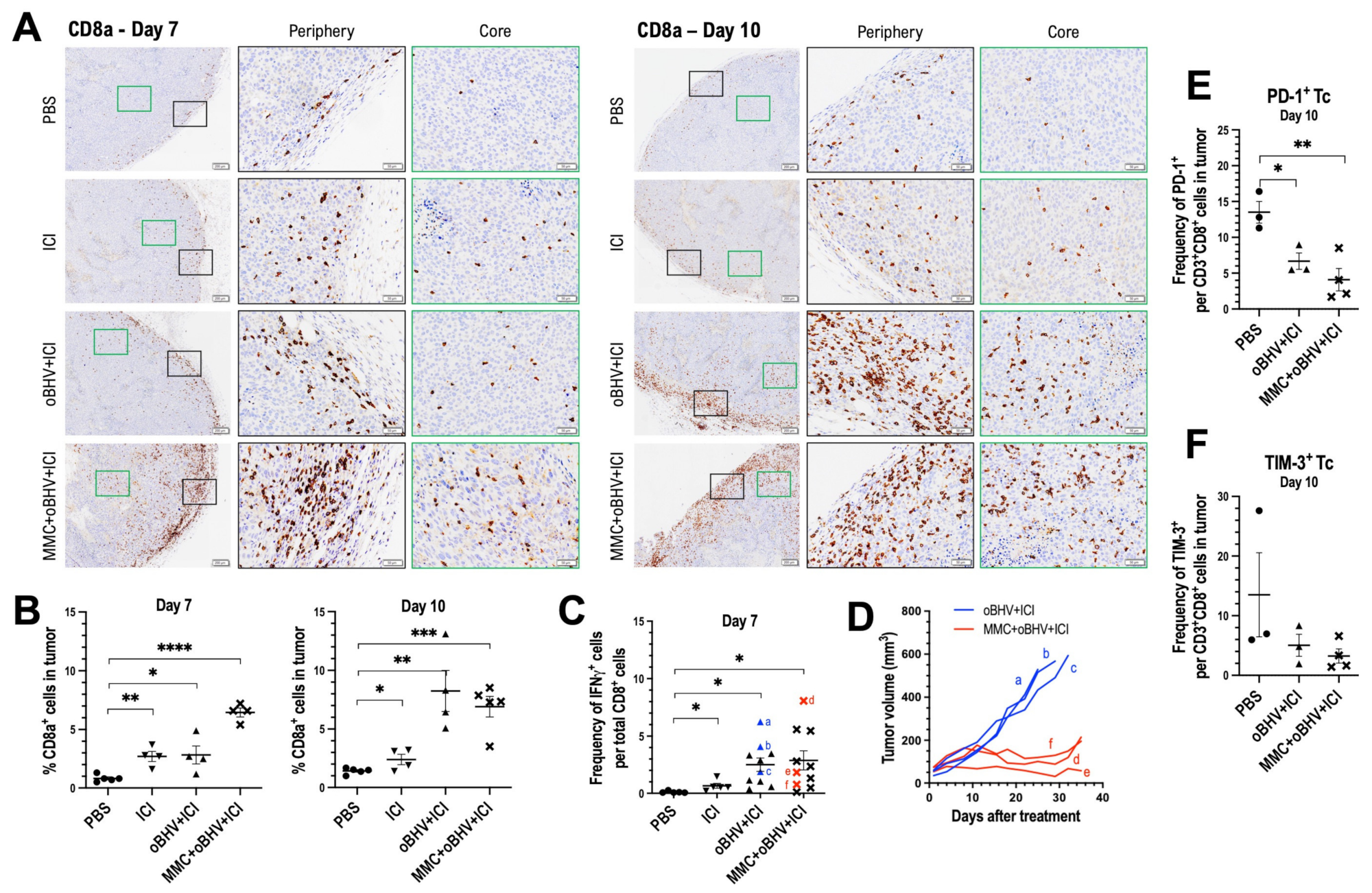 Cancers 15 01295 g004