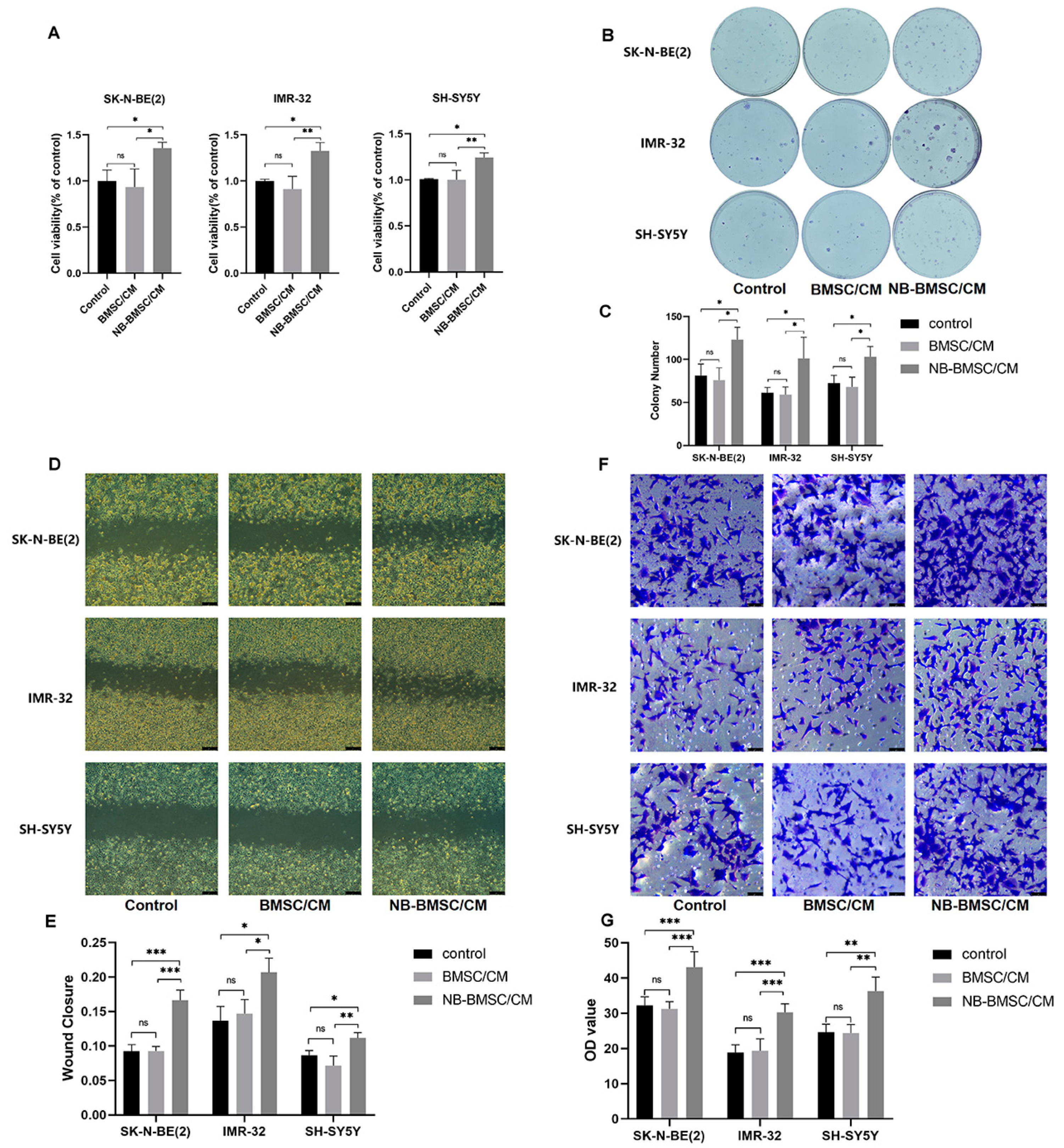 Cancers 15 01301 g001