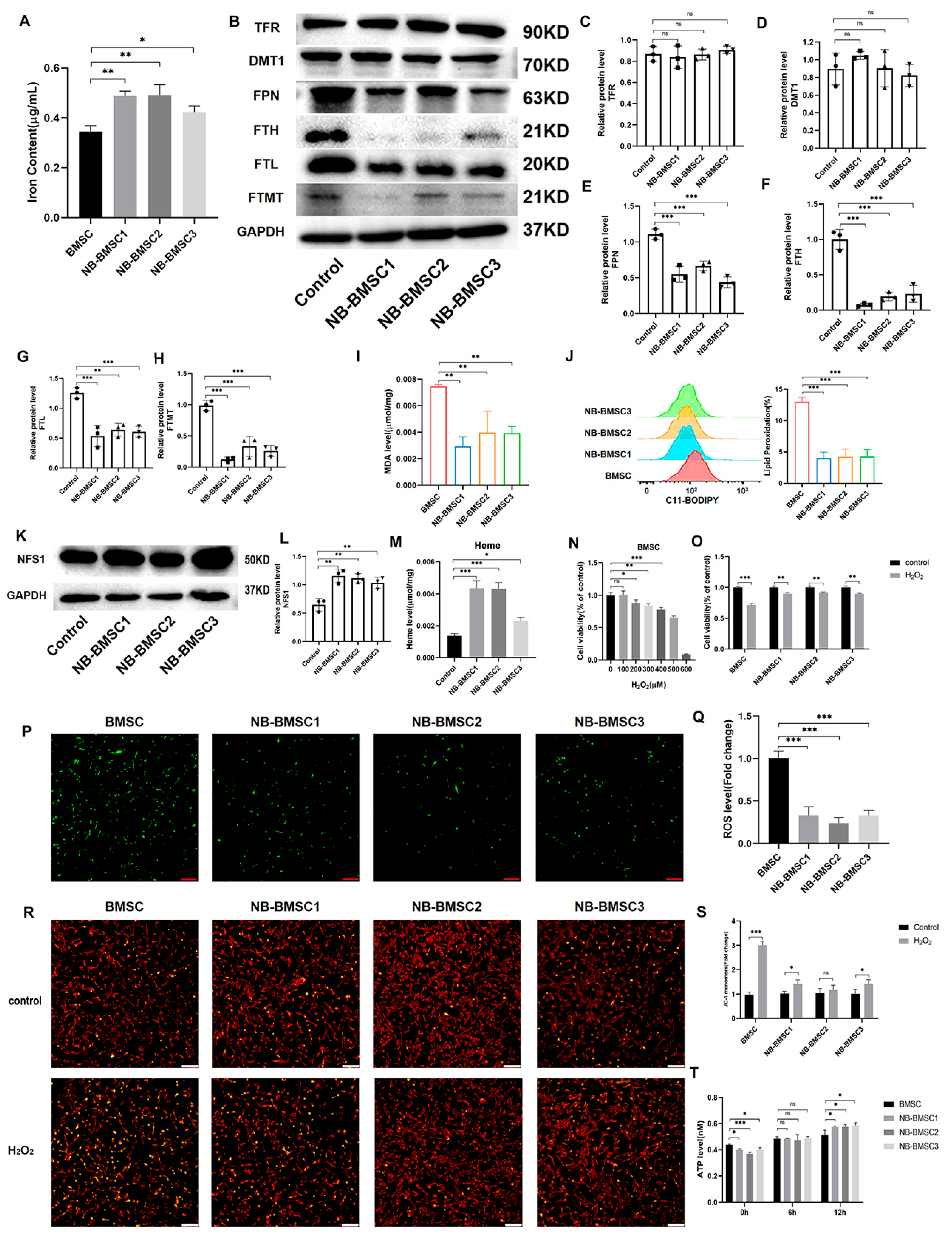 Cancers 15 01301 g004