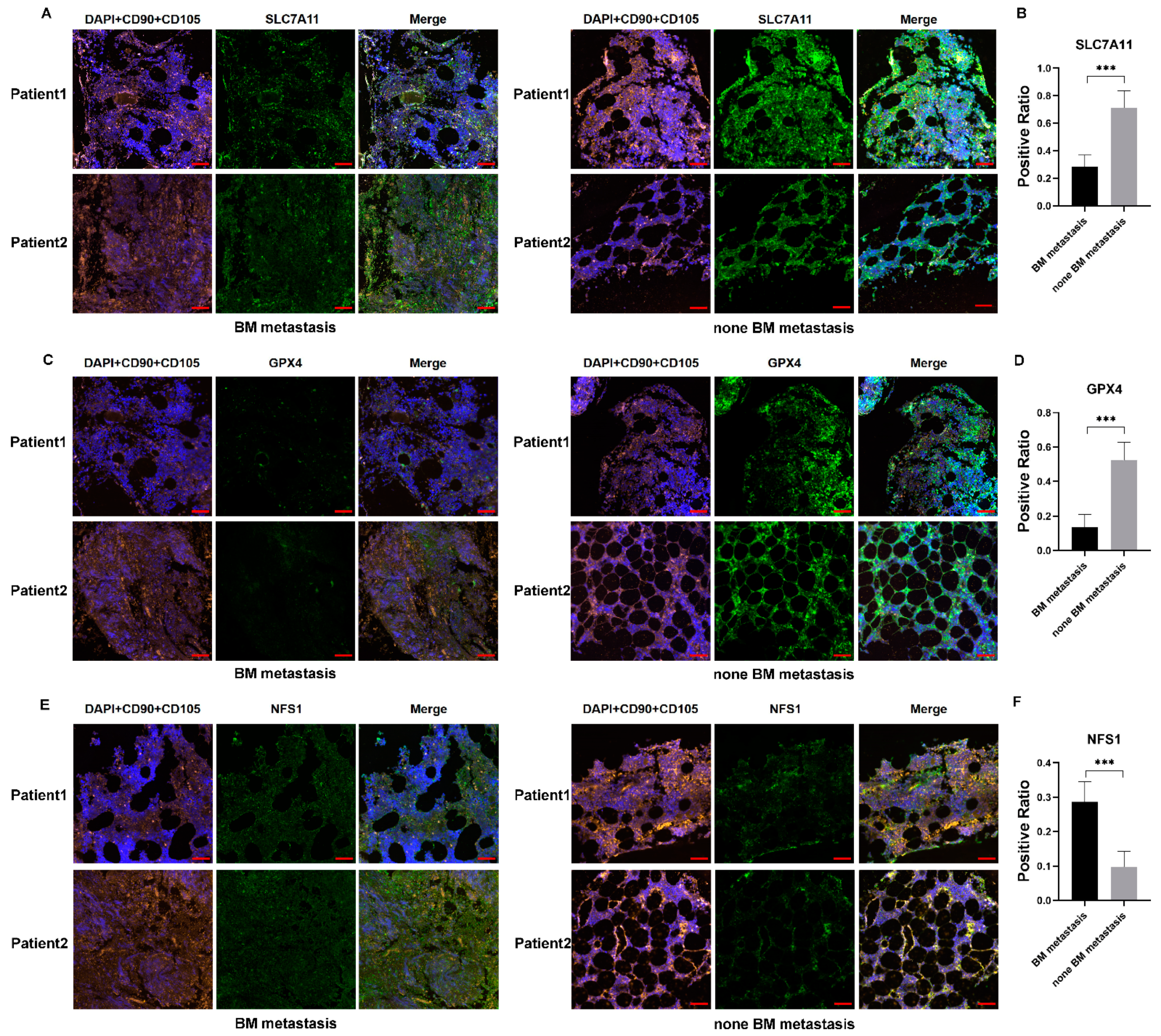Cancers 15 01301 g007