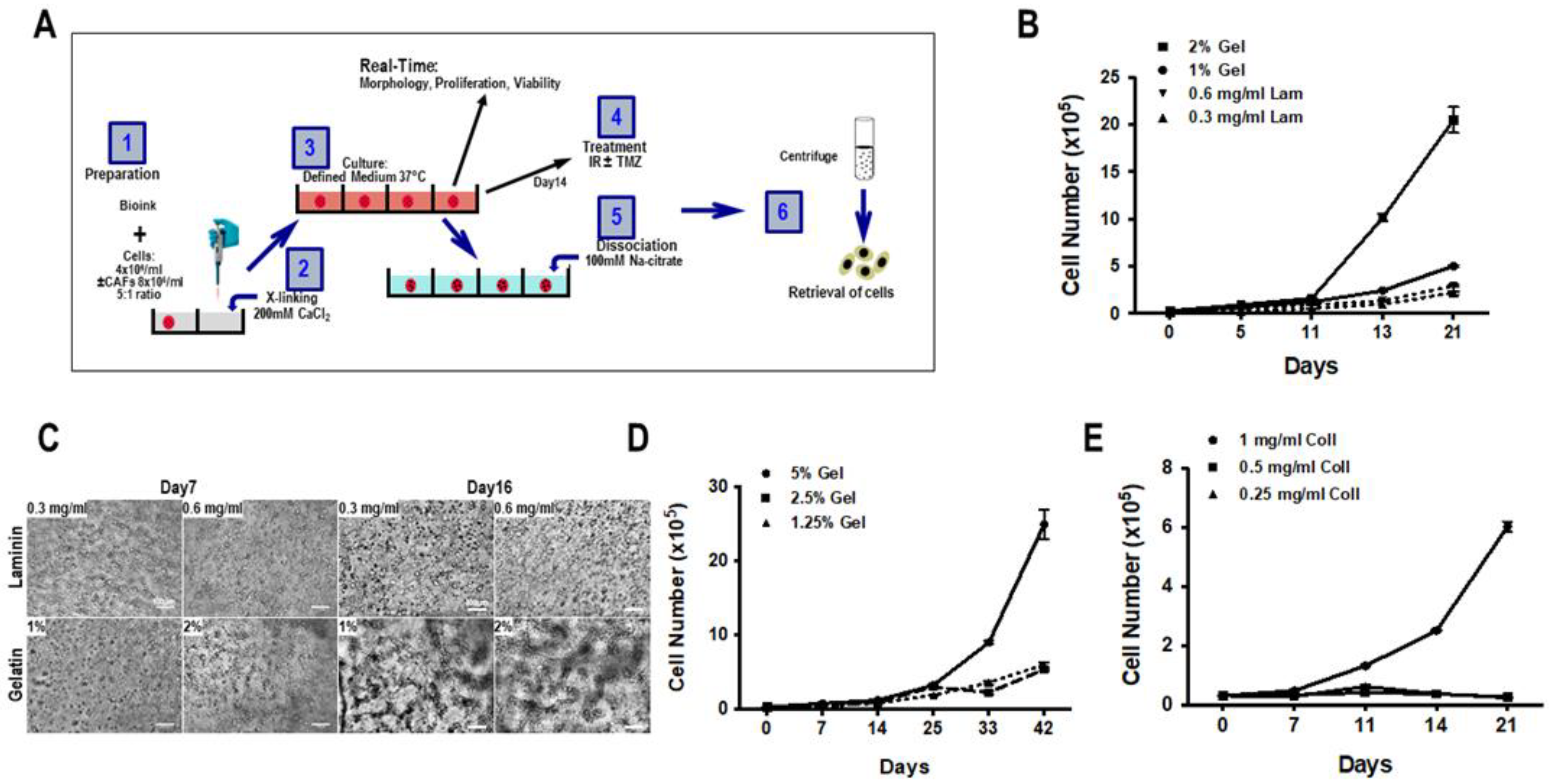 Cancers 15 01304 g001