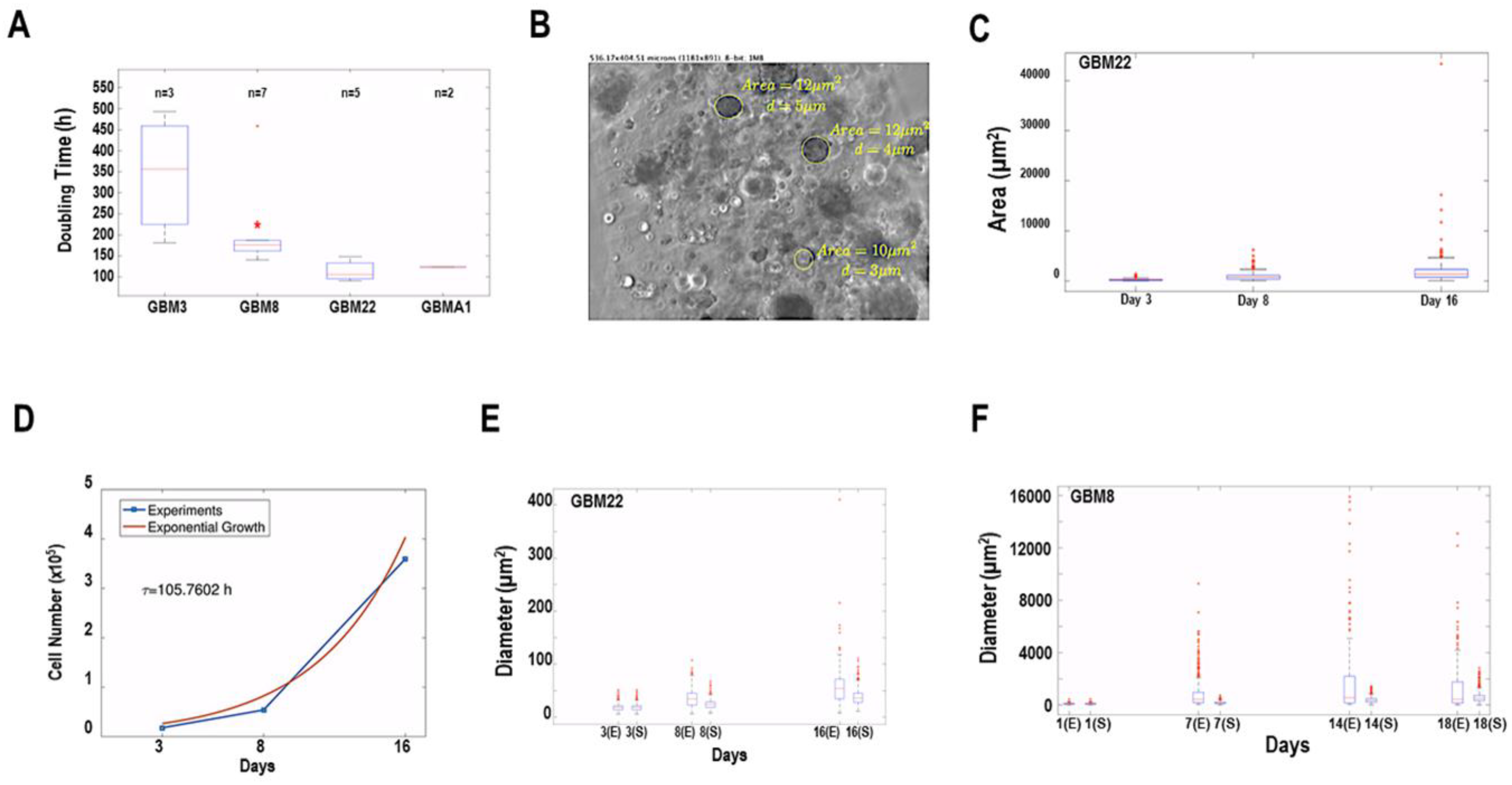 Cancers 15 01304 g004