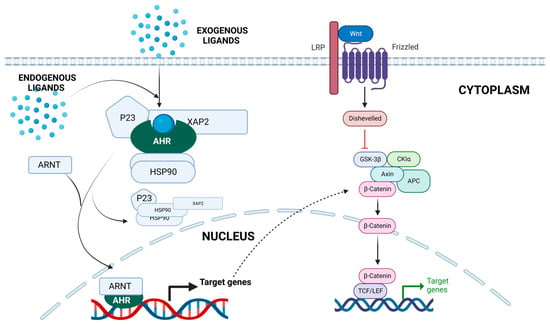 Cancers | Free Full-Text | Targeted Therapy And Mechanisms Of Drug ...