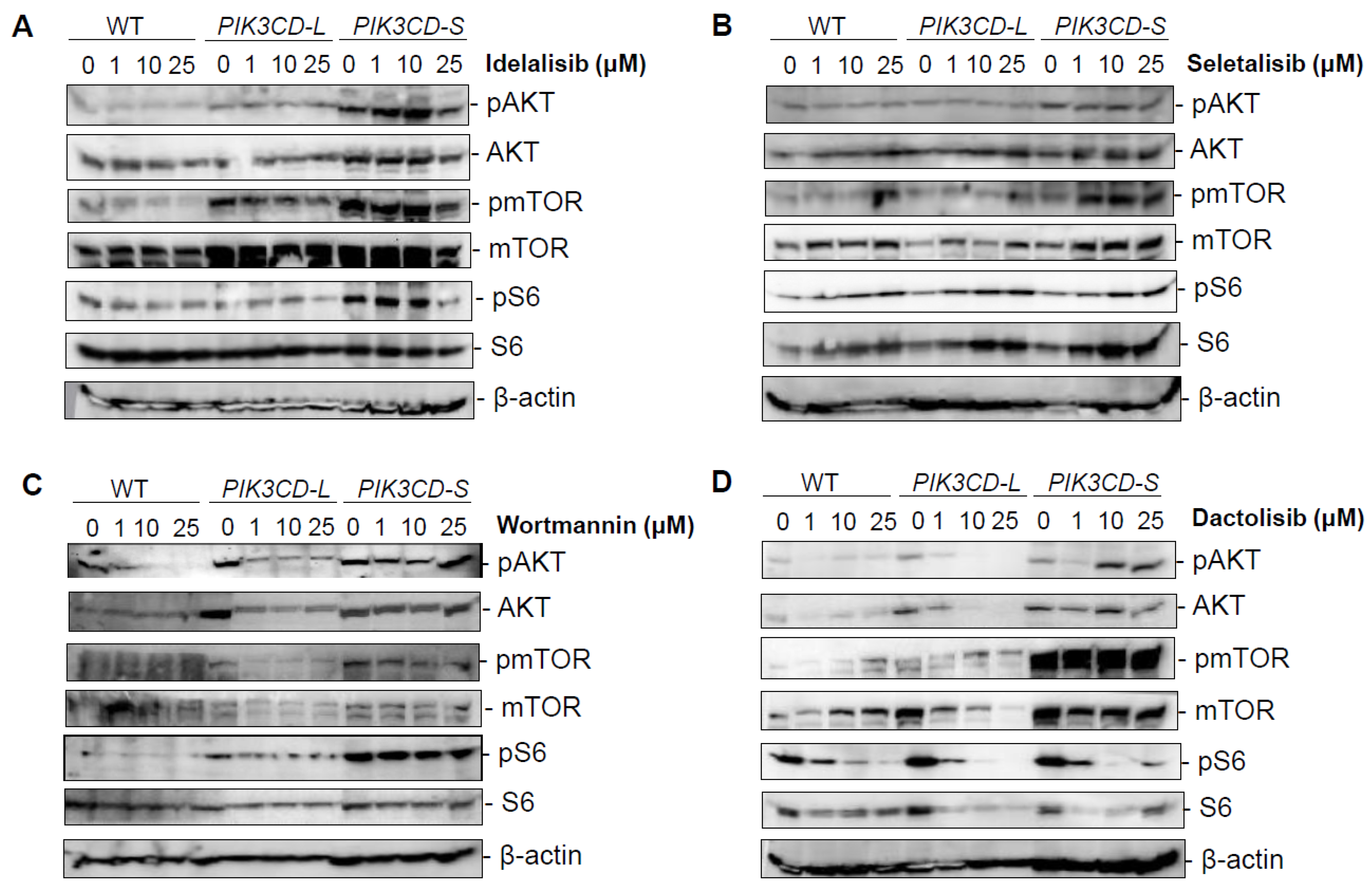 Cancers 15 01337 g004 Cancers 15 01337 g004