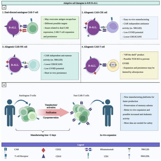 Cancers | Free Full-Text | Optimal Use Of Novel Immunotherapeutics In B ...