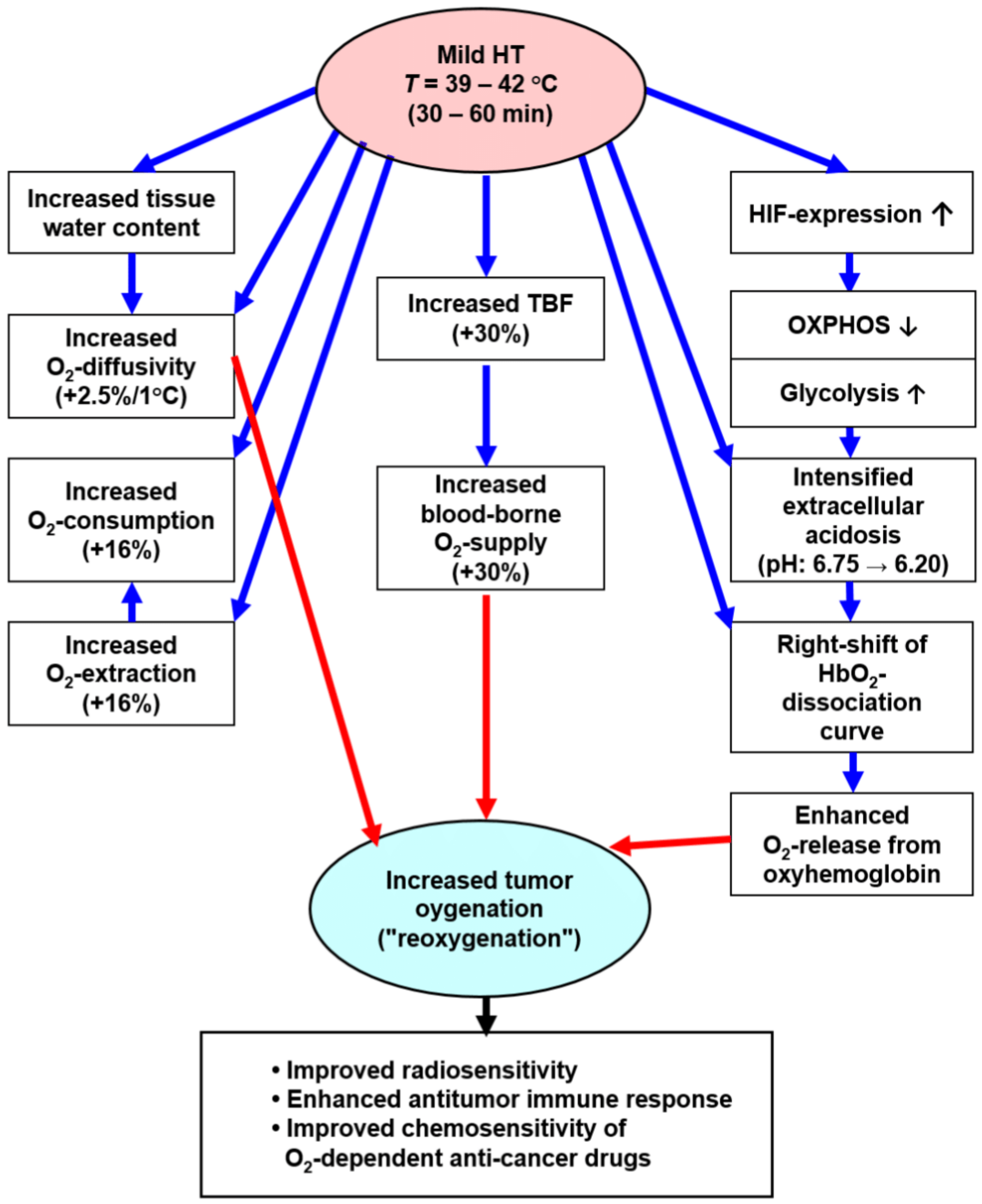 Cancers 15 01394 g004