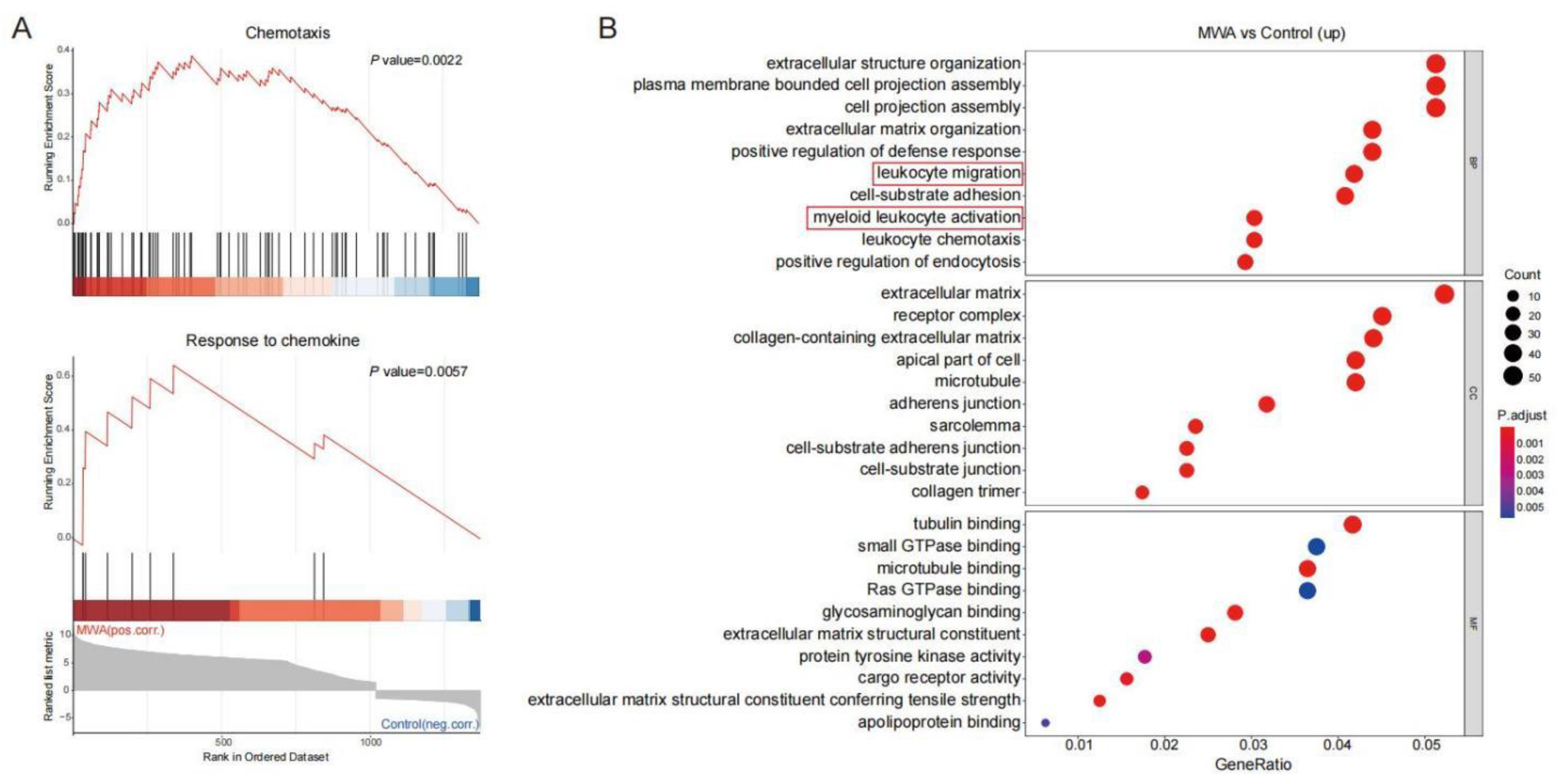Cancers 15 01427 g002 Cancers 15 01427 g002