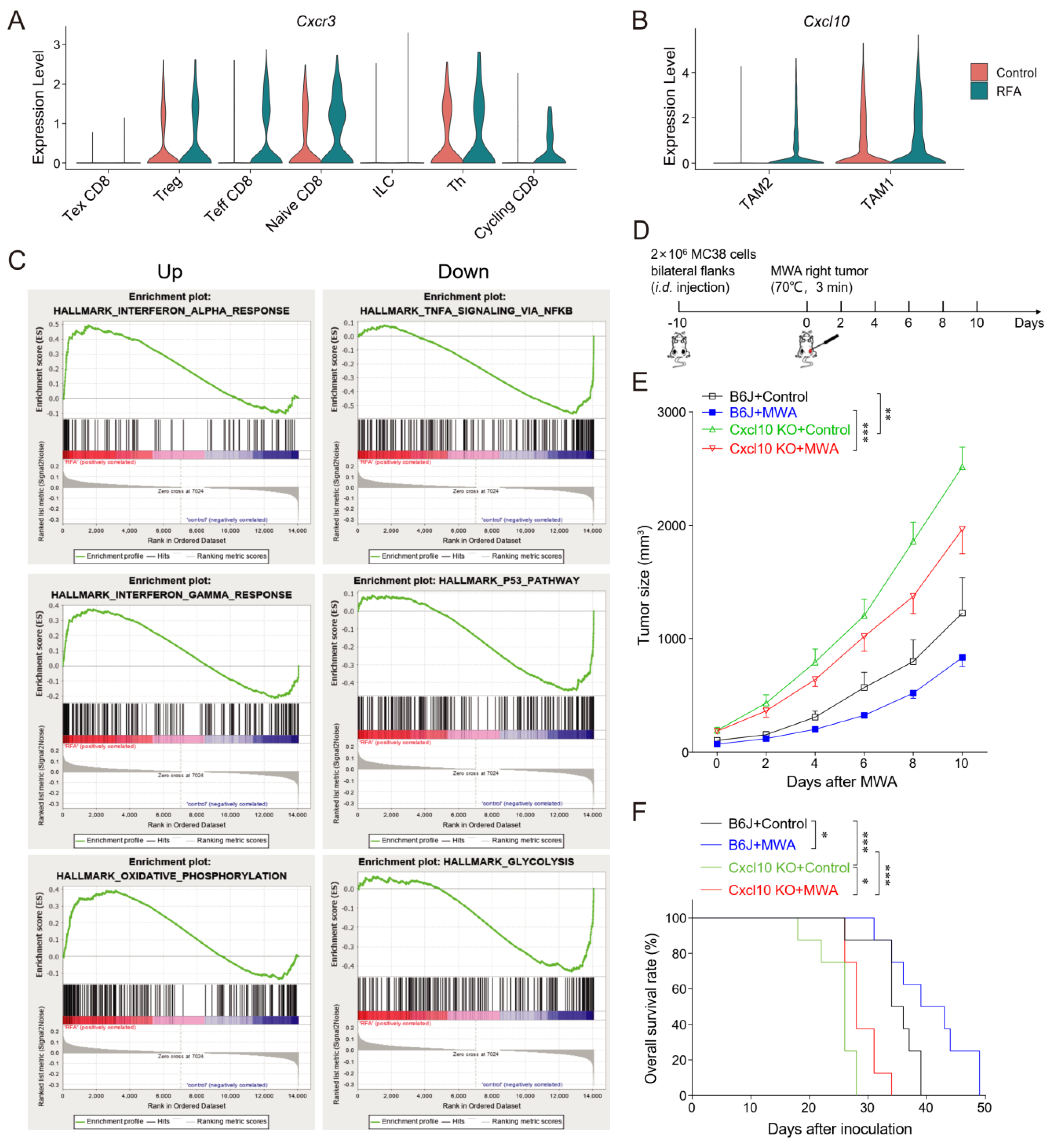 Cancers 15 01427 g005 Cancers 15 01427 g005