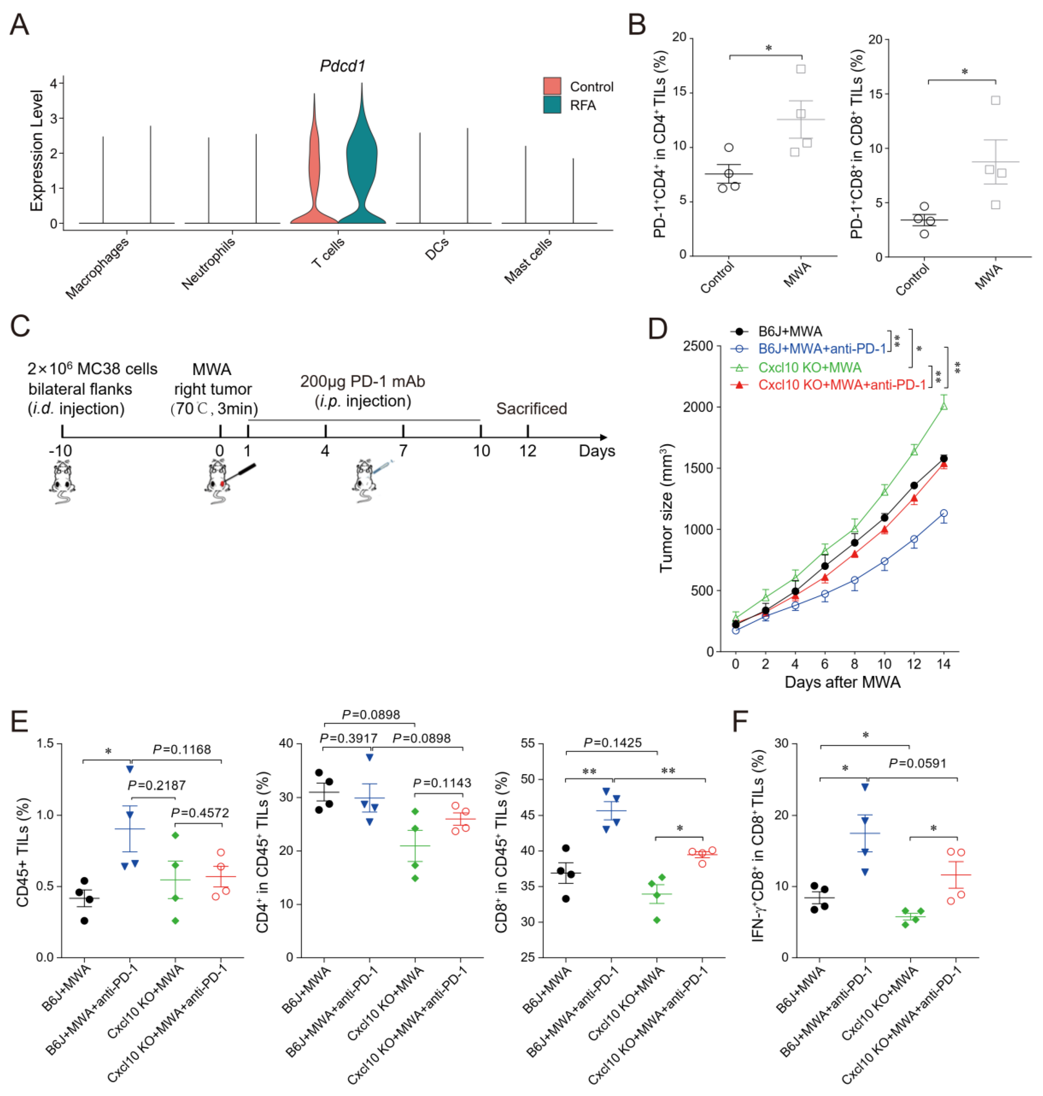 Cancers 15 01427 g007 Cancers 15 01427 g007