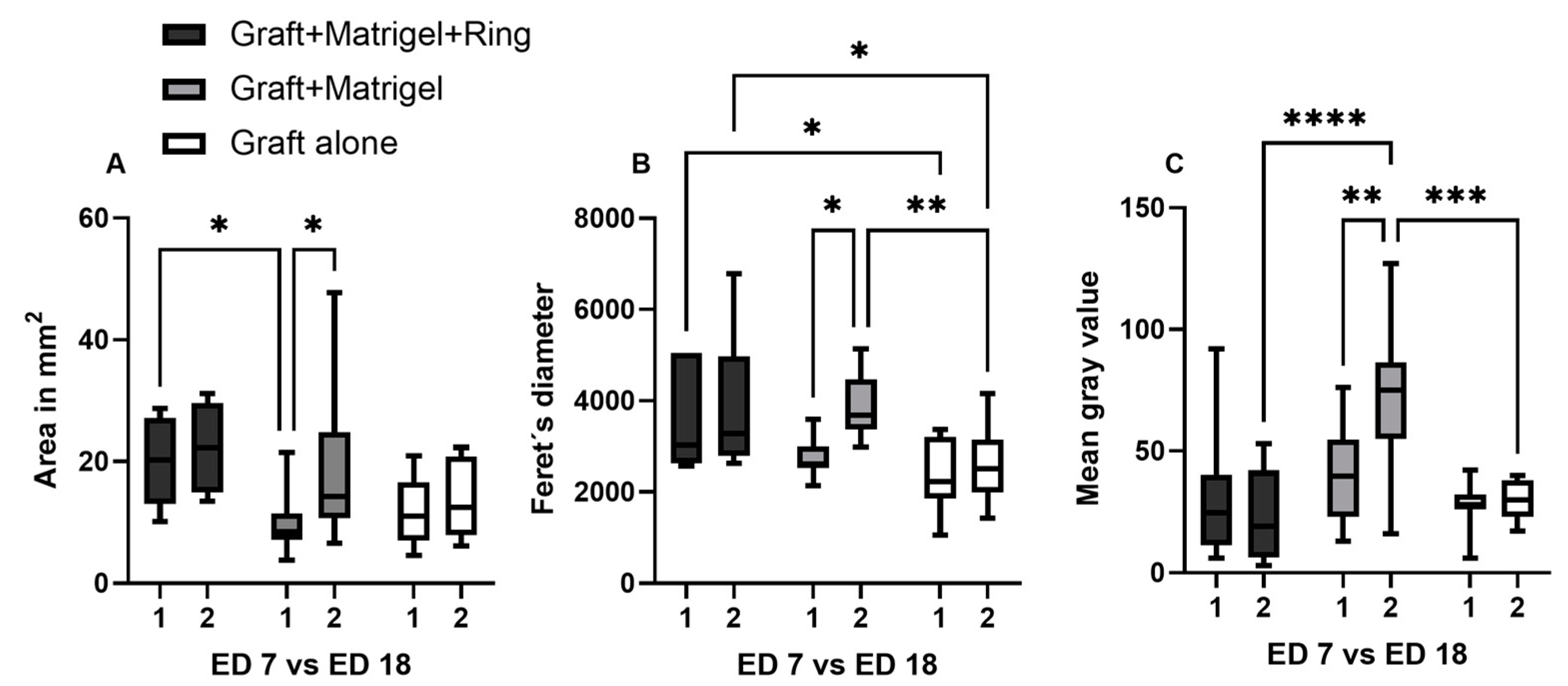 Cancers 15 01436 g010 Cancers 15 01436 g010